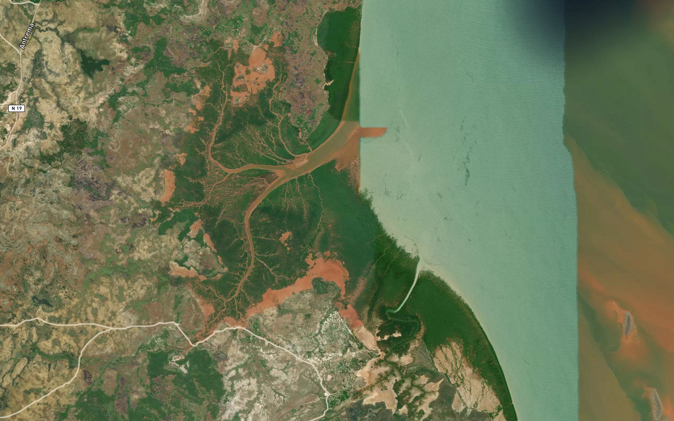 Sakoany