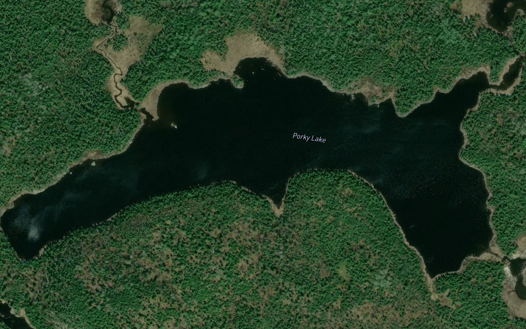 Satellite map of the Porky Lake