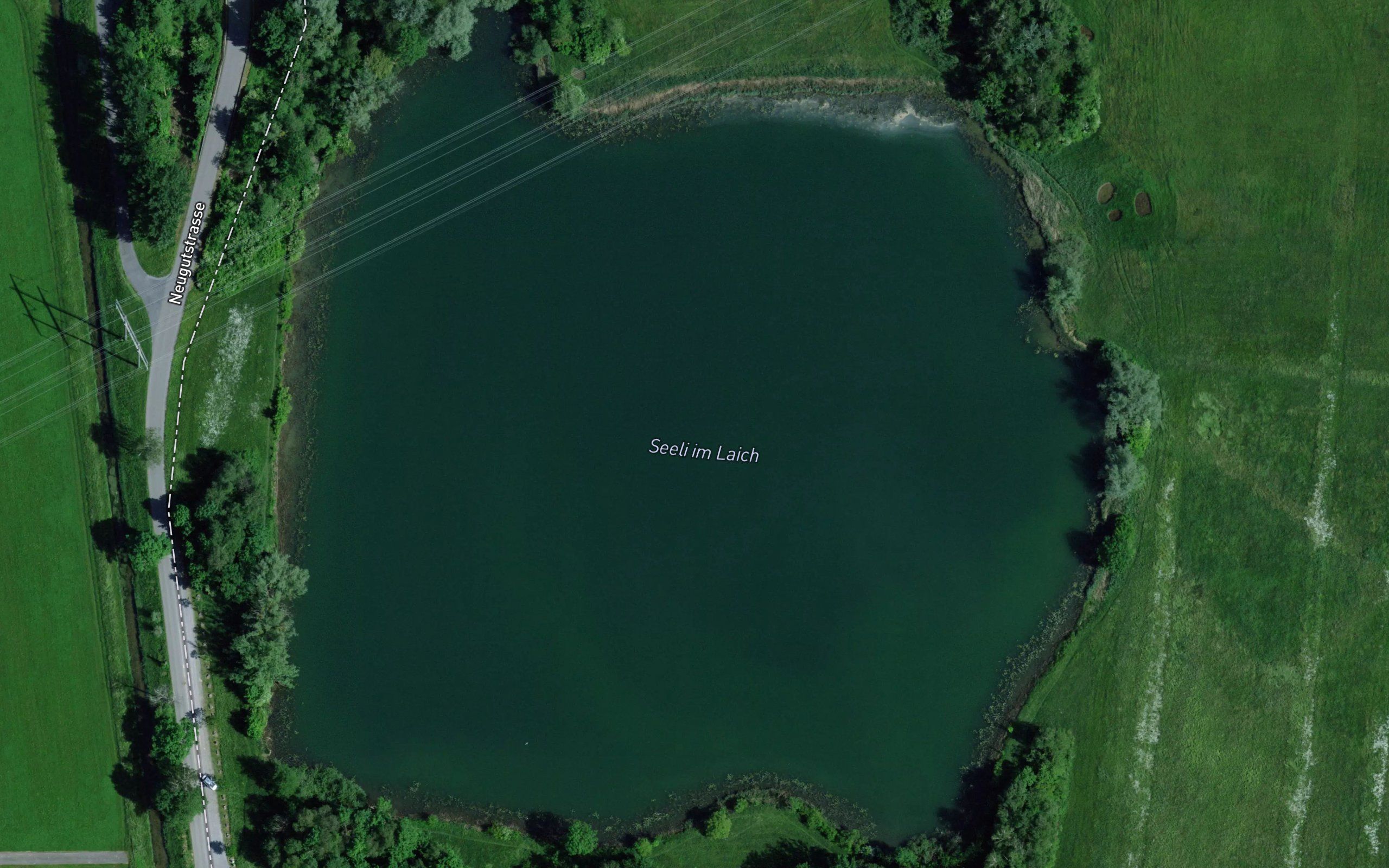 Laichsee