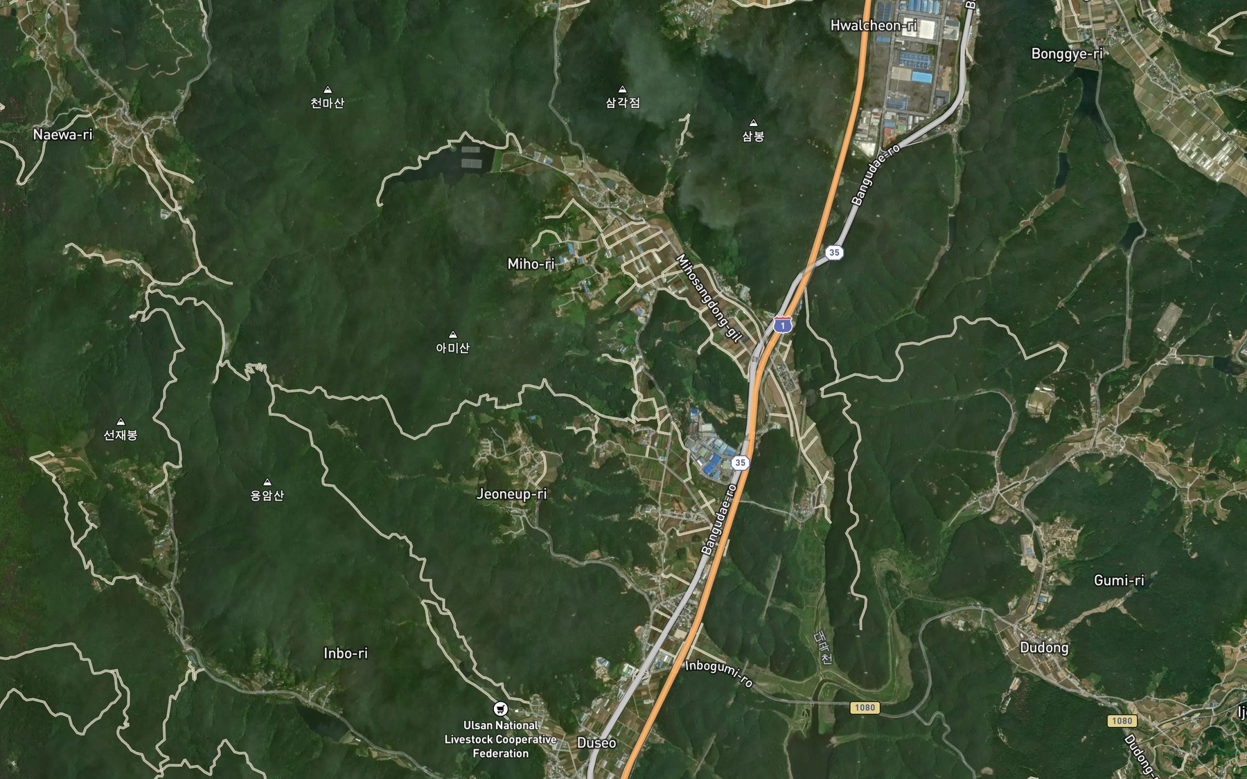 Satellite map of the Gajanggokji
