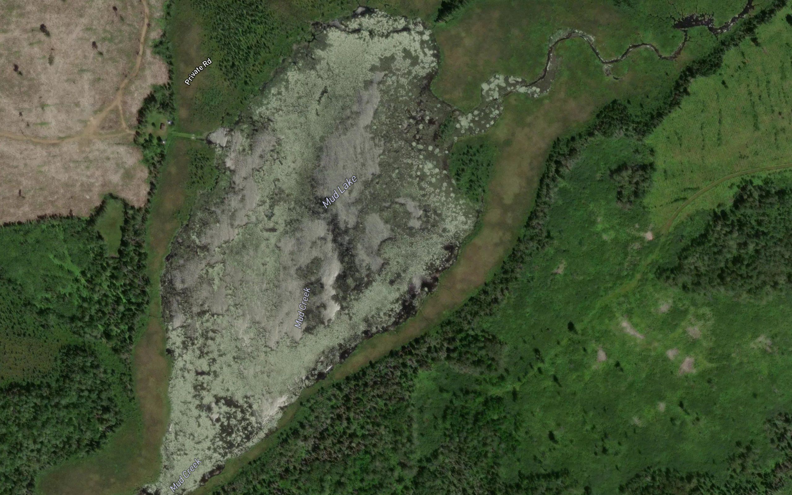 Mud Lake