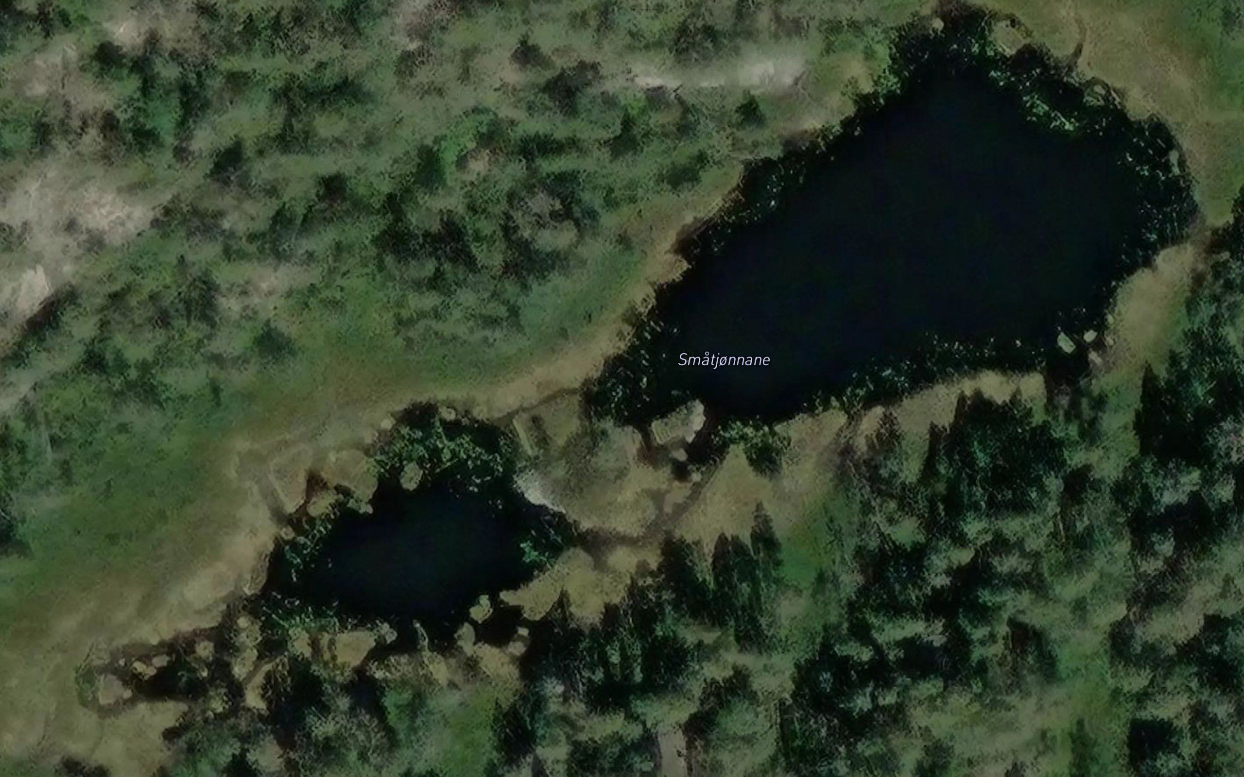 Smatjonnane