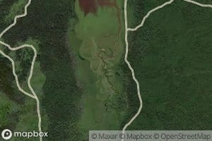 Bol'shaya Berezovaya