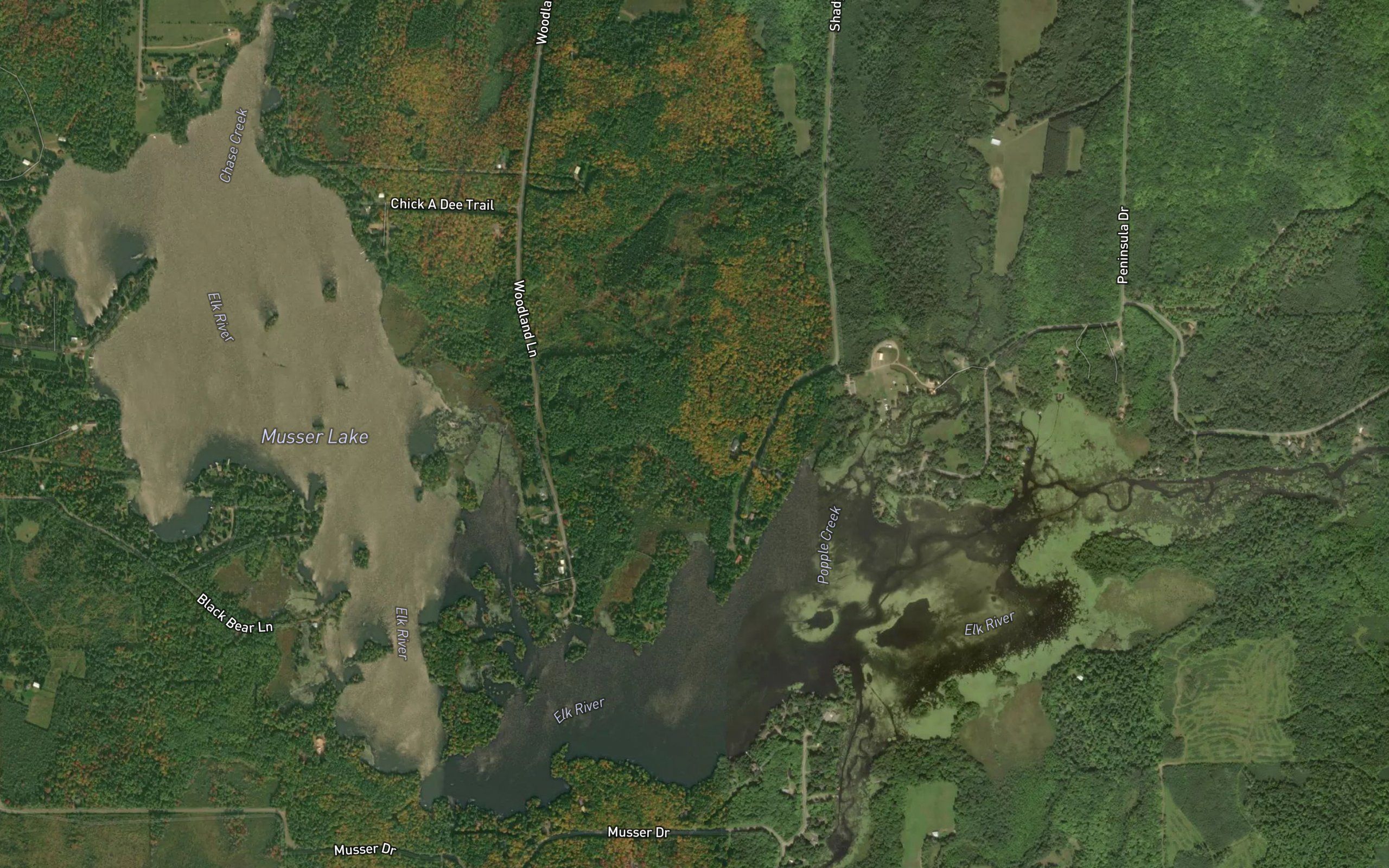 Musser Lake