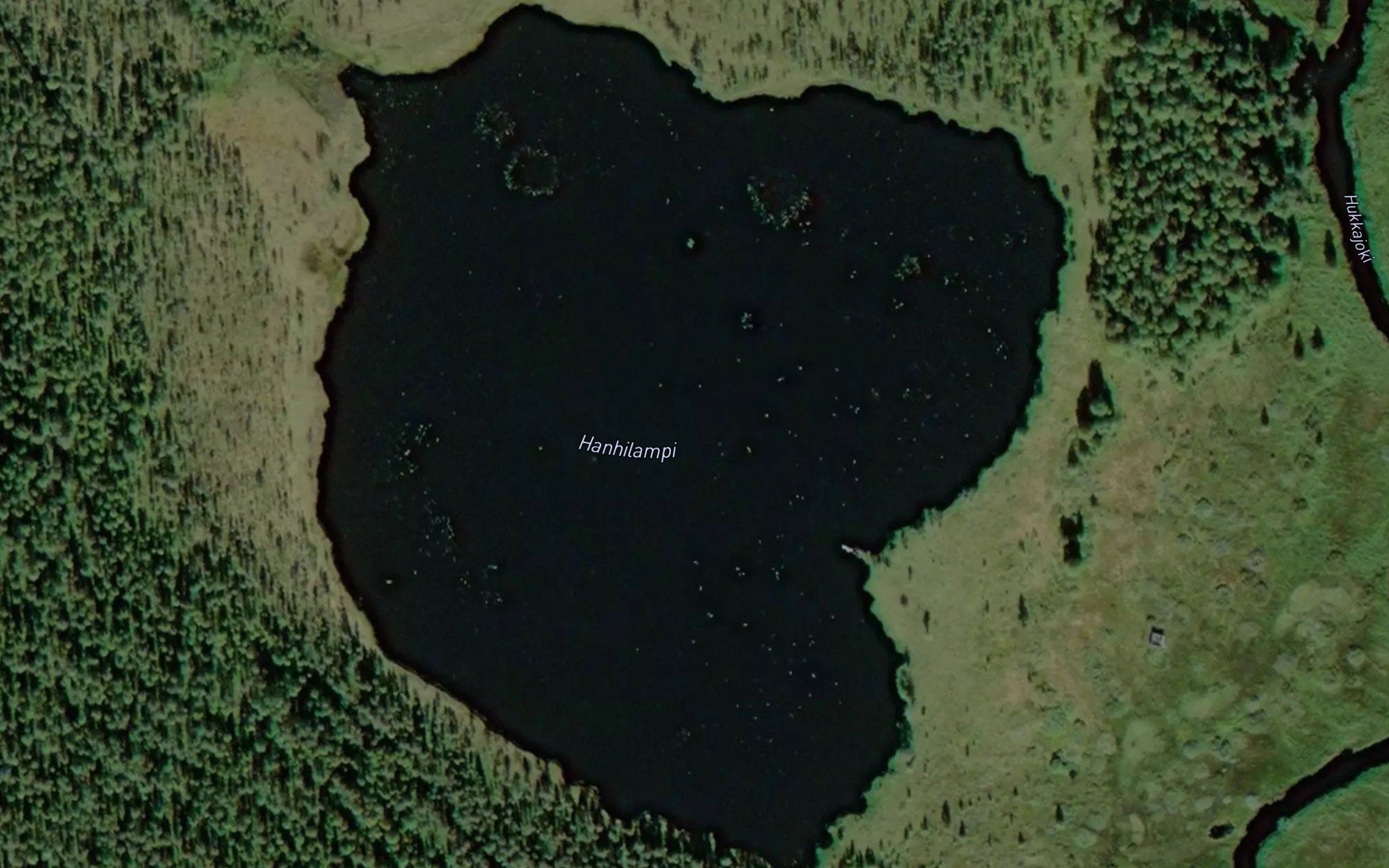 Hanhilampi