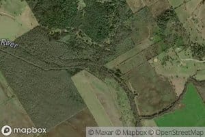 Spring Creek