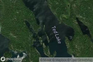 Ted Lake