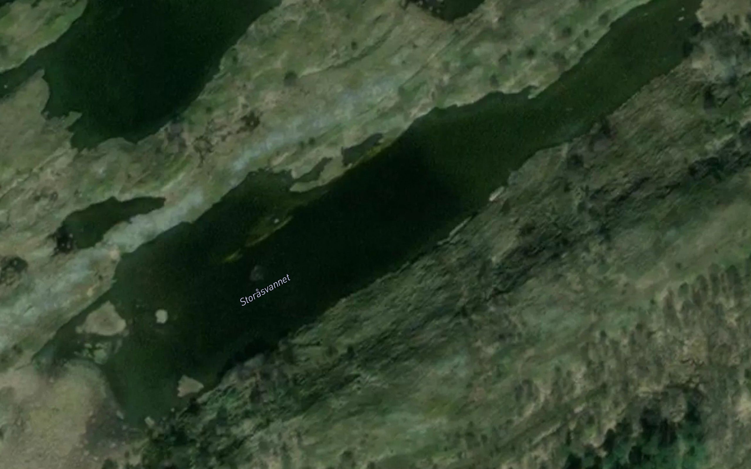 Storasvannet