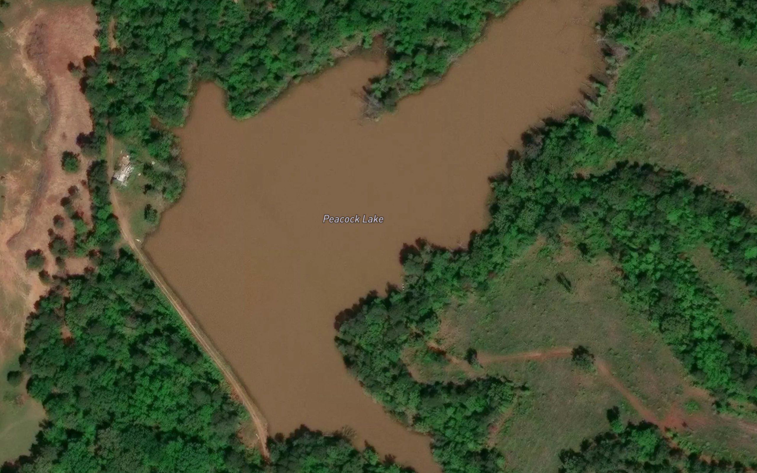 Peacock Lake
