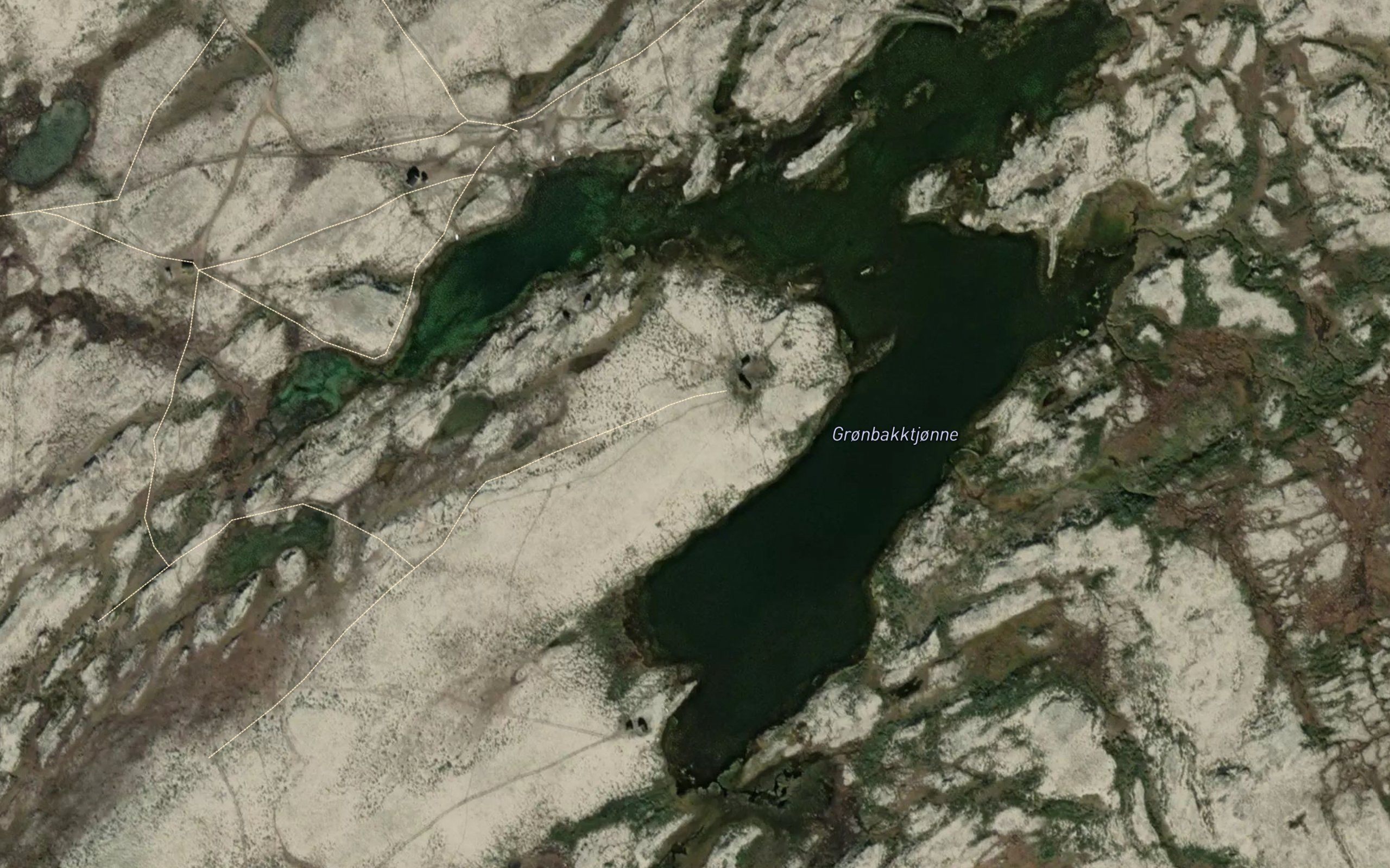 Gronbakktjorni