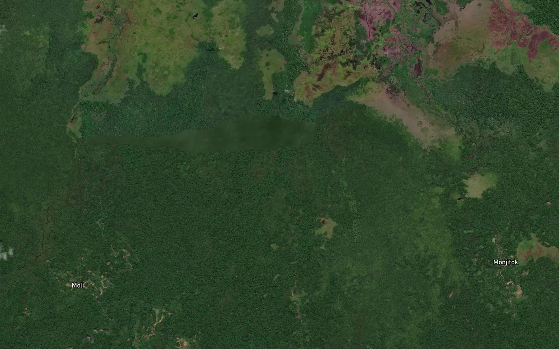 Satellite map of the Waimera River