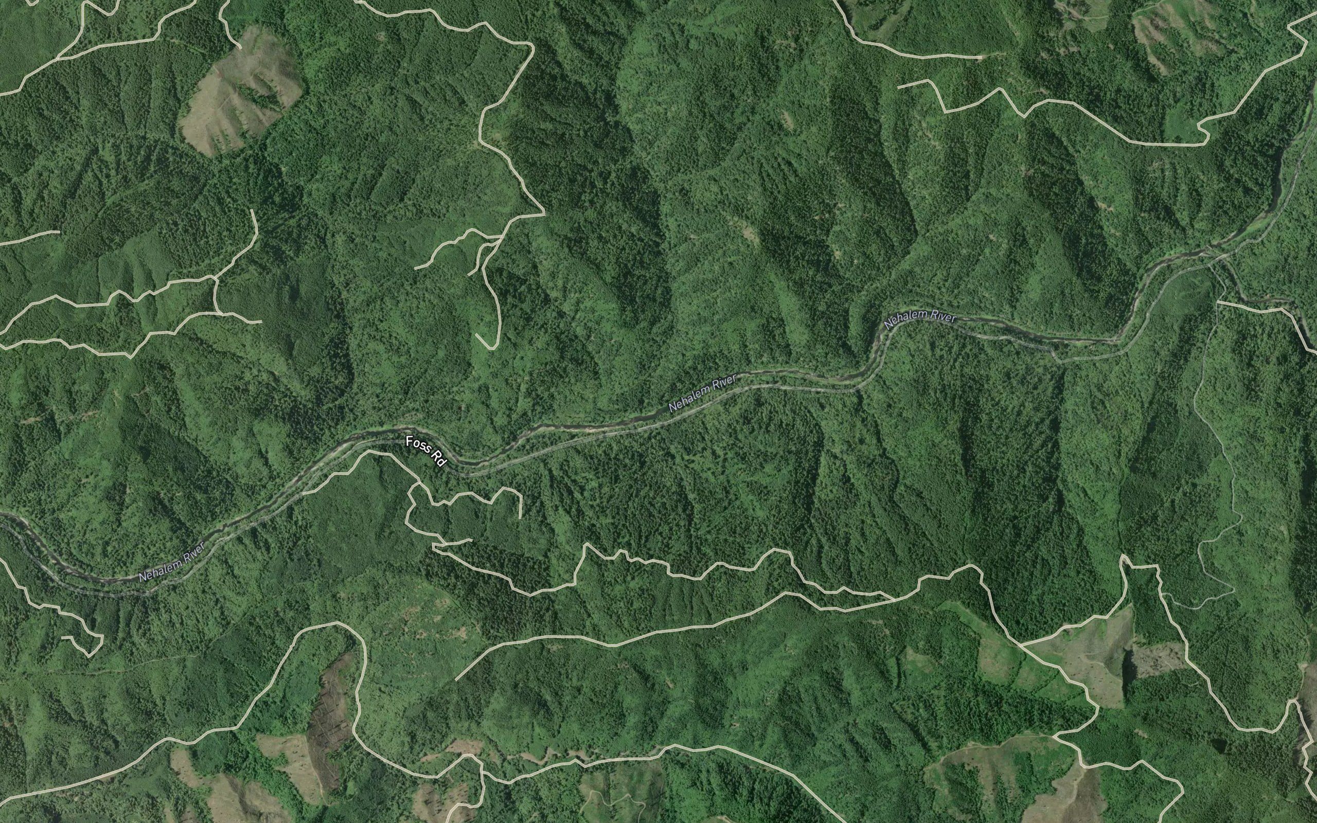 Bastard Creek