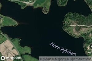 Norrbjorken