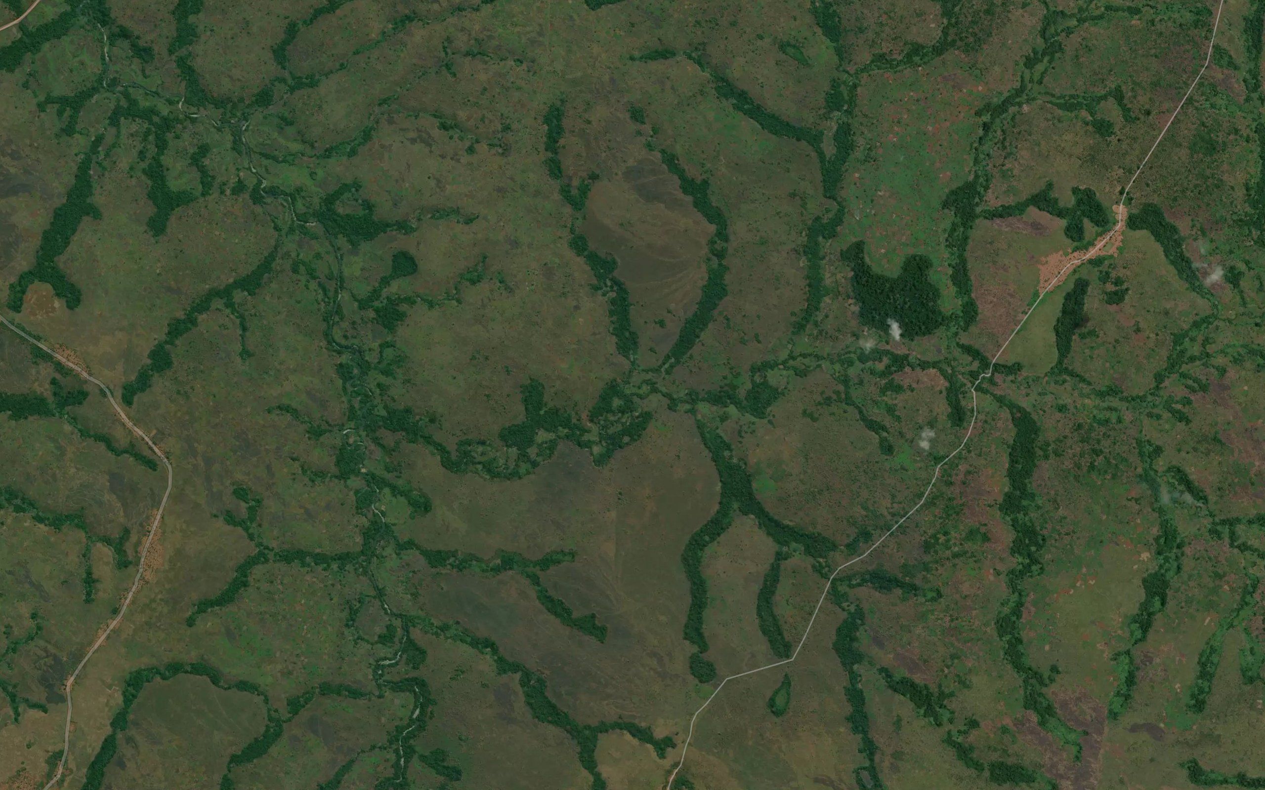 Tshiulumba