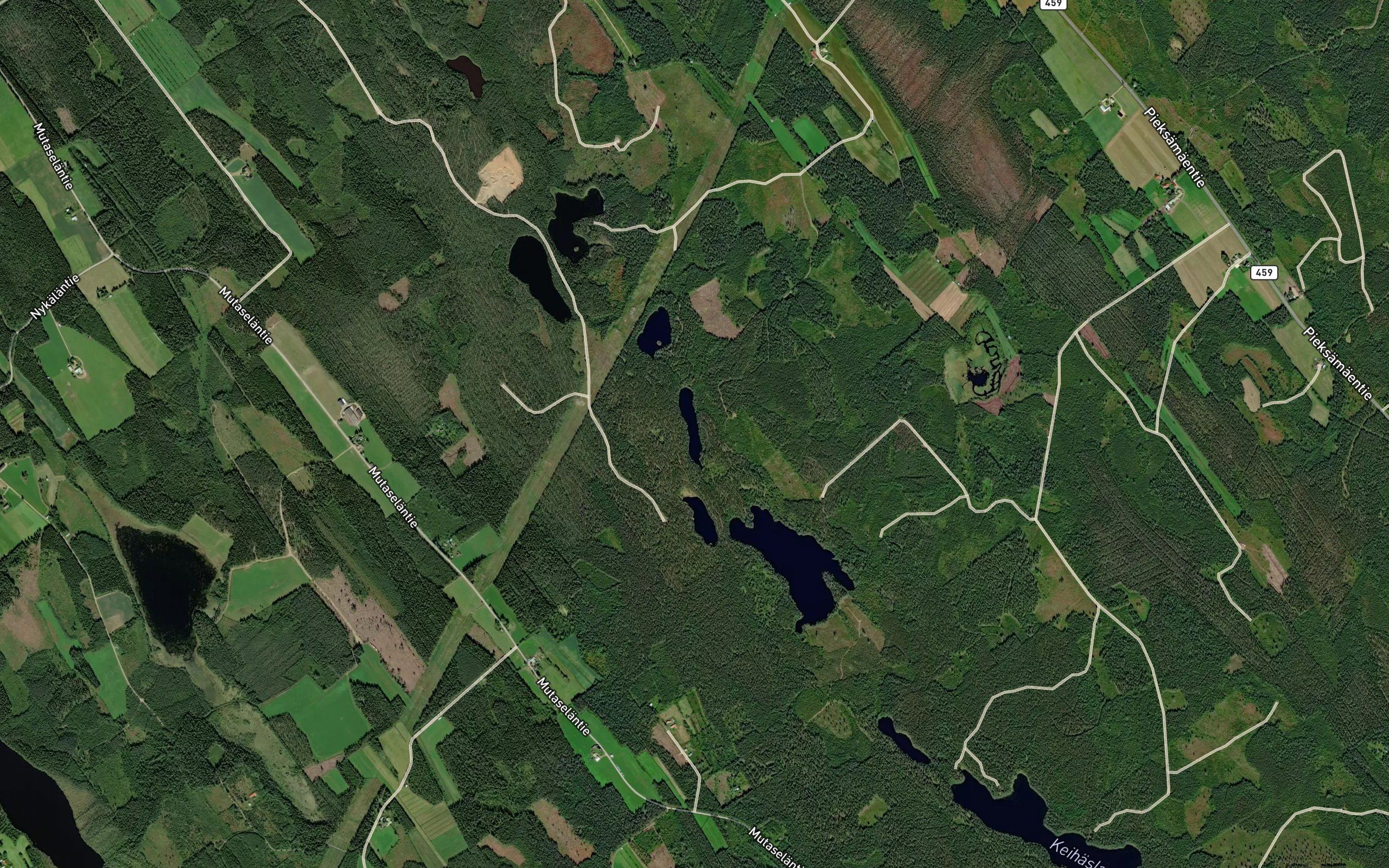 Piilukka