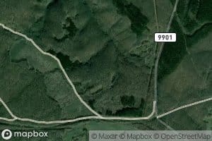 Dedo Milushevoto Vrisle