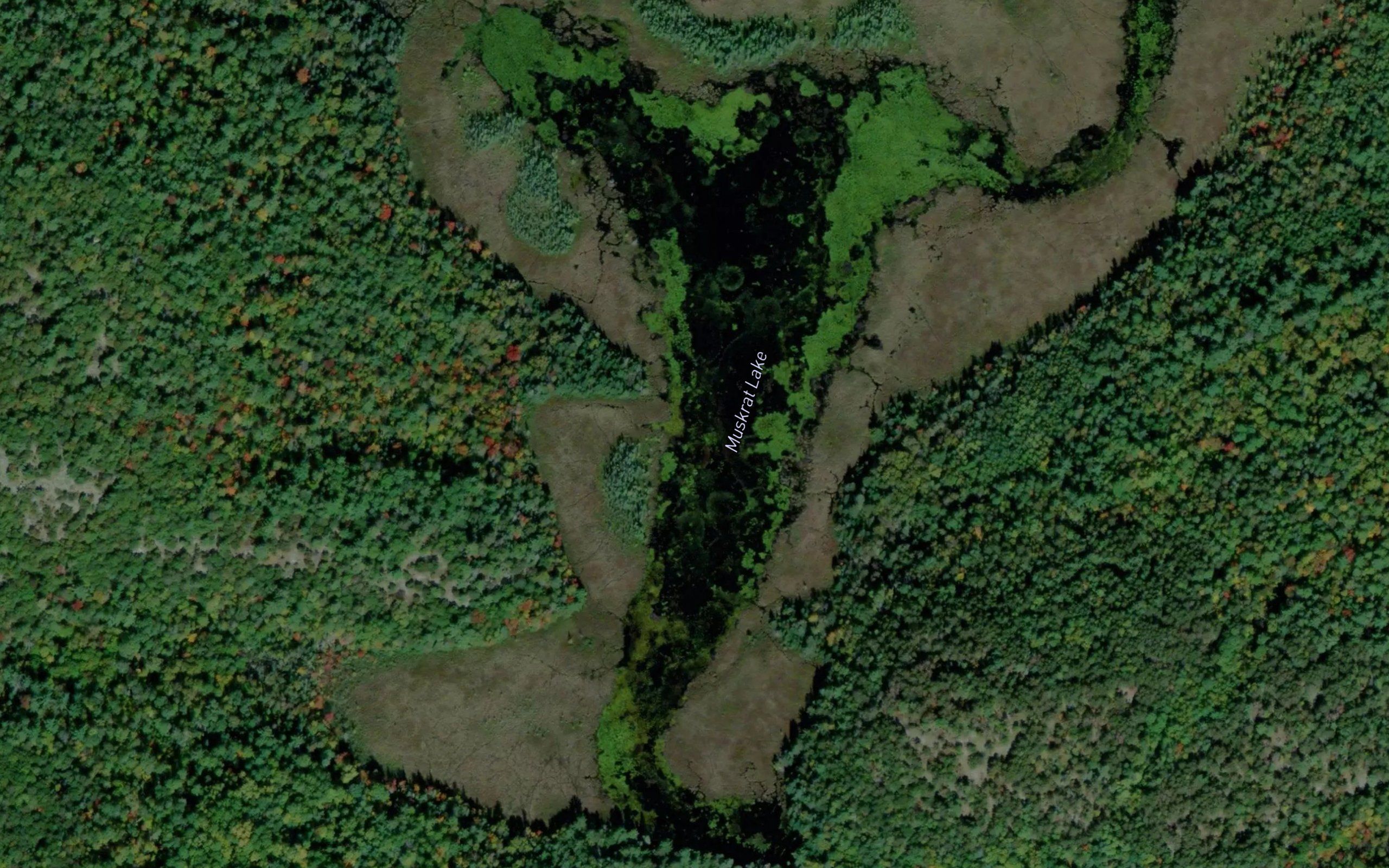Muskrat Lake