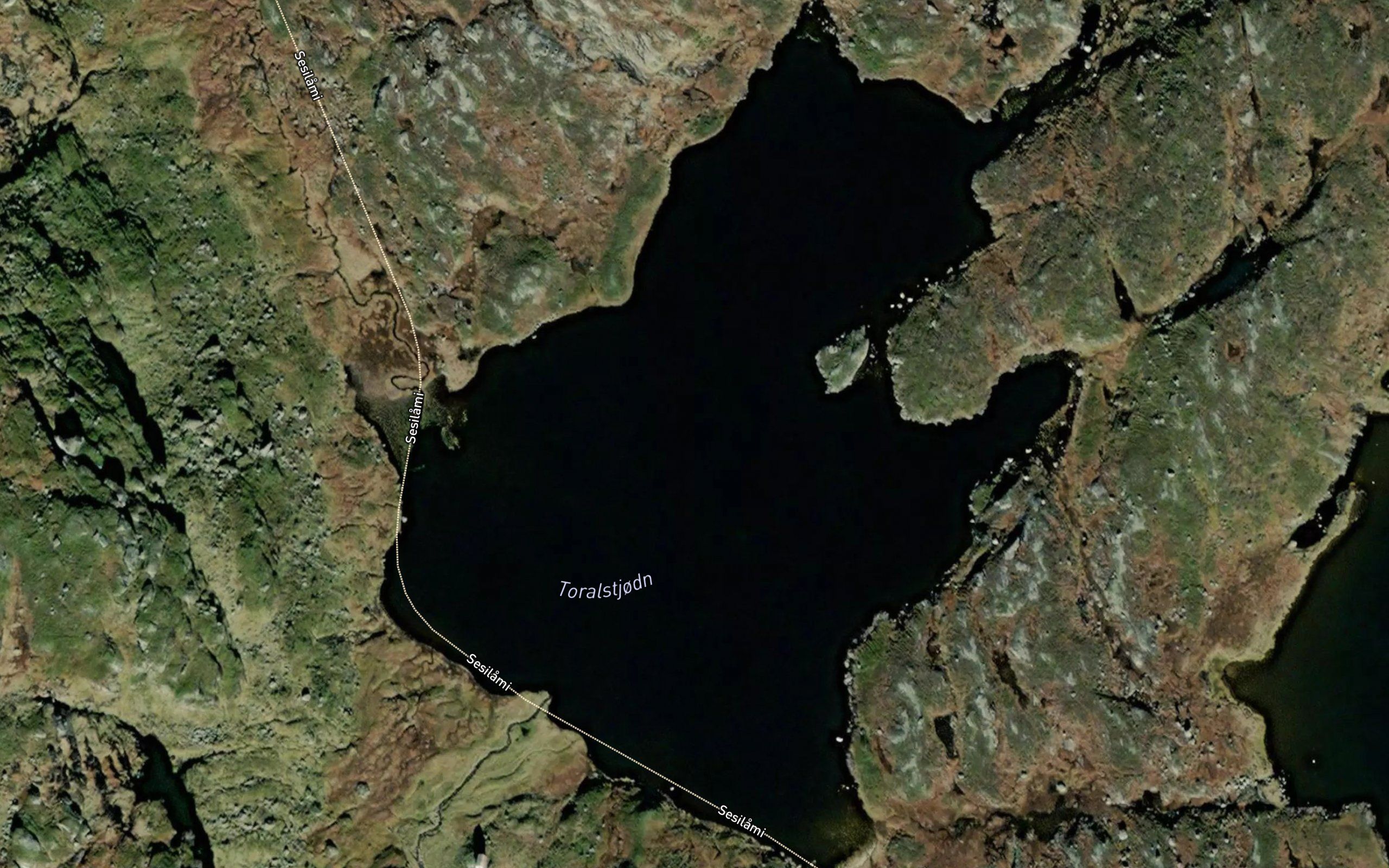 Toralstjodn