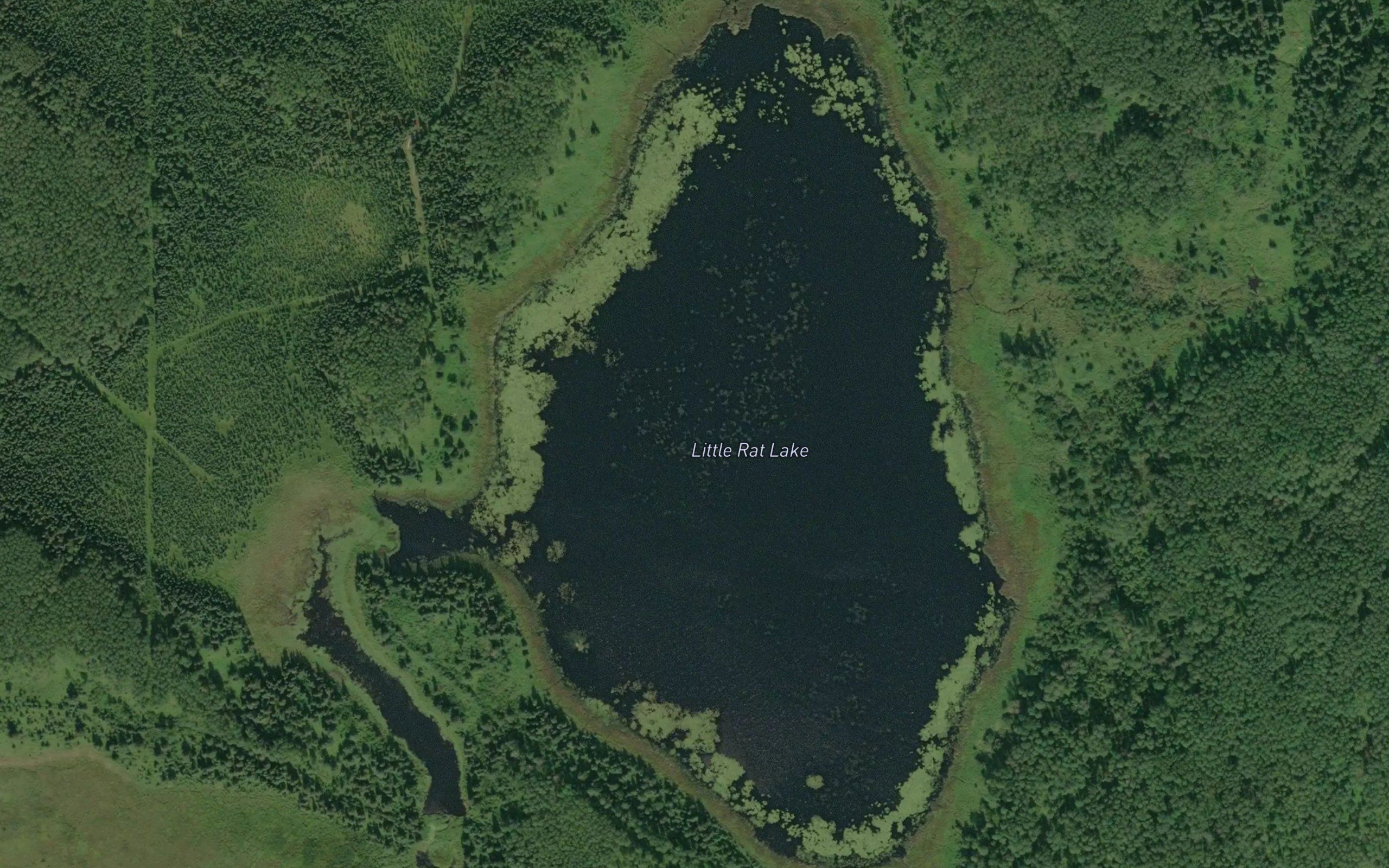 Little Rat Lake