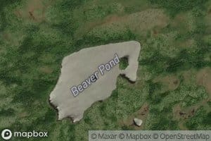 Beaver Pond