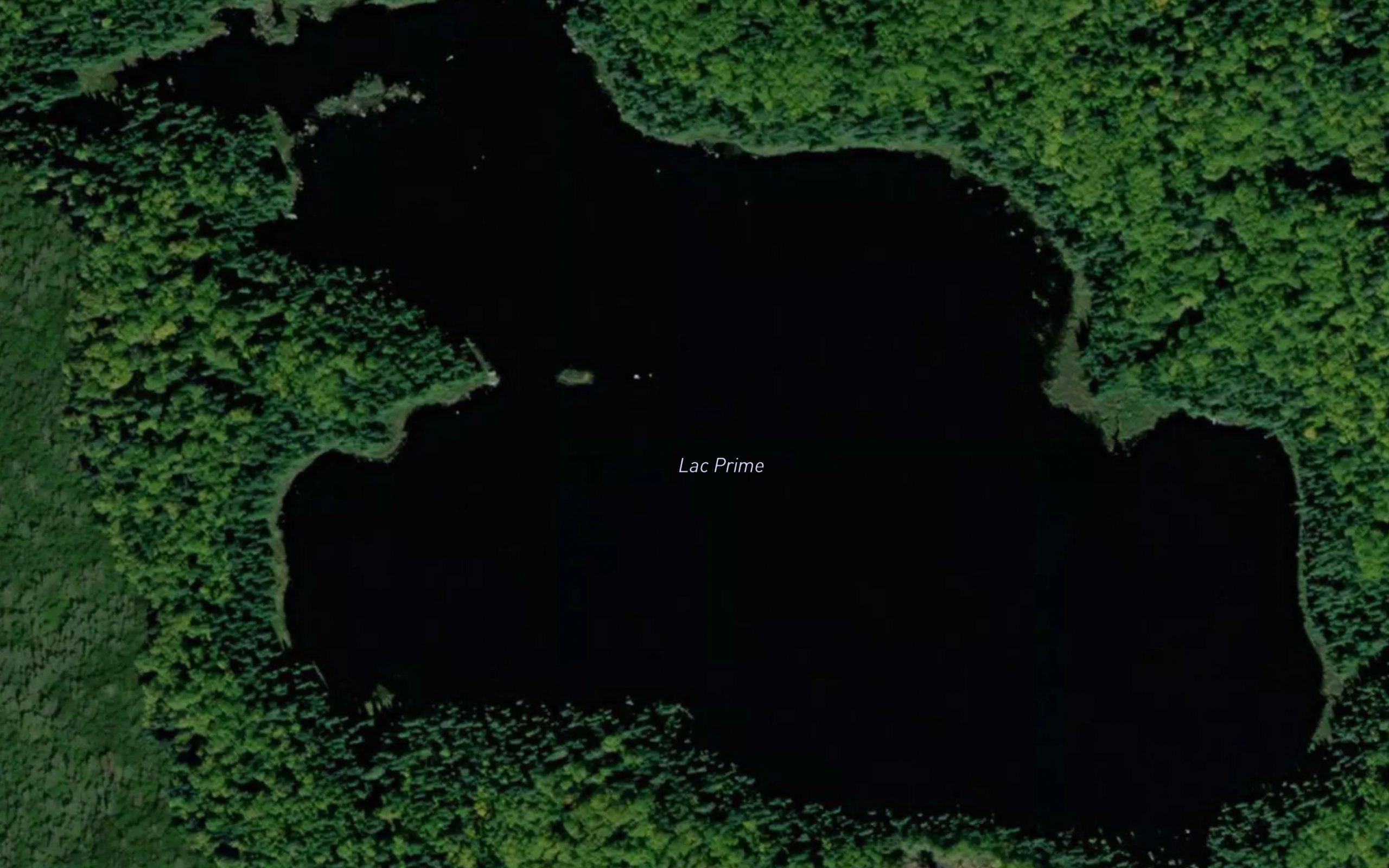 Lac Prime