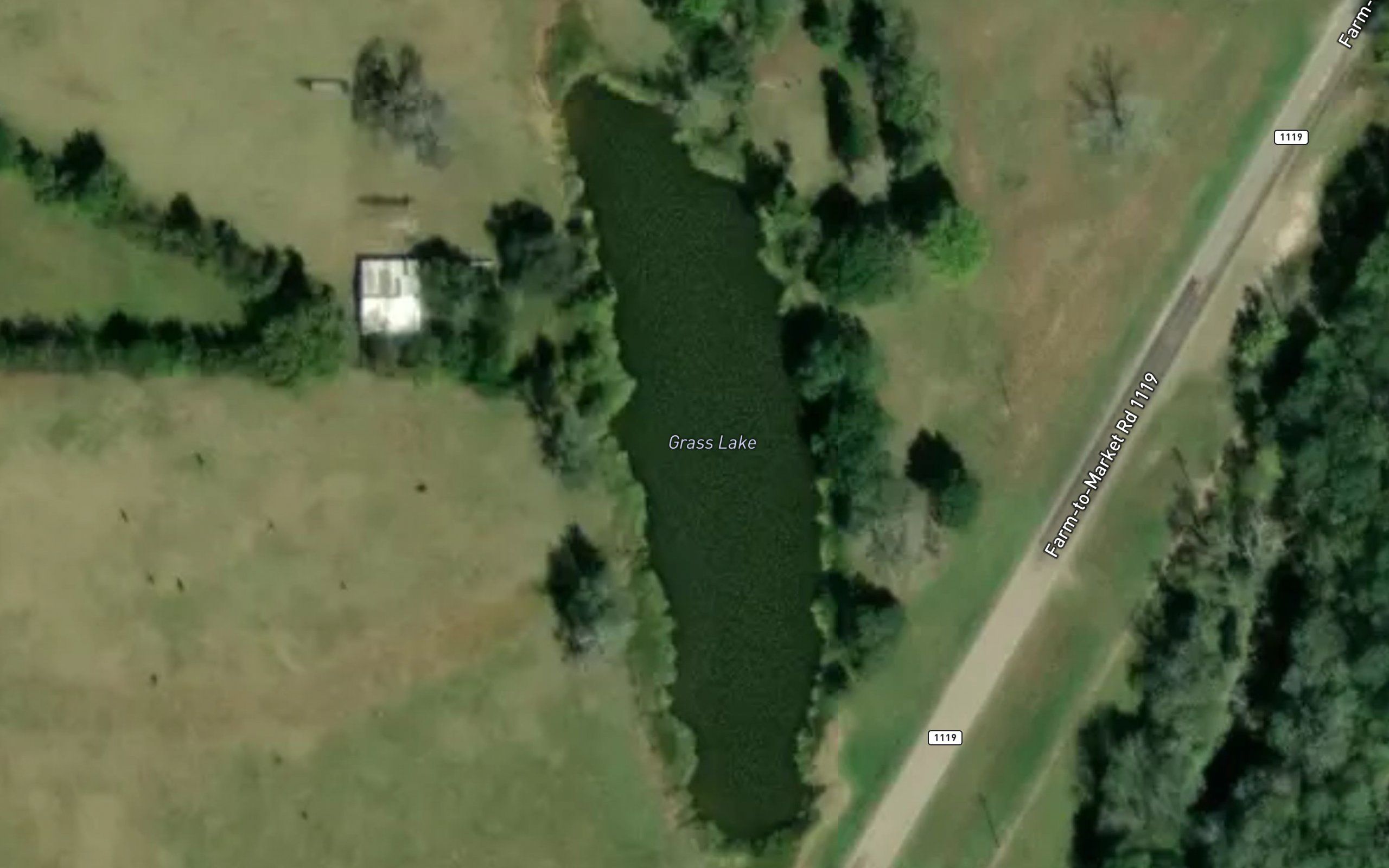 Grass Lake
