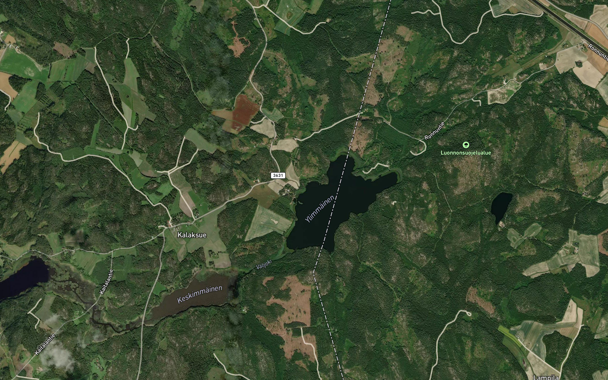Kankaanviepa