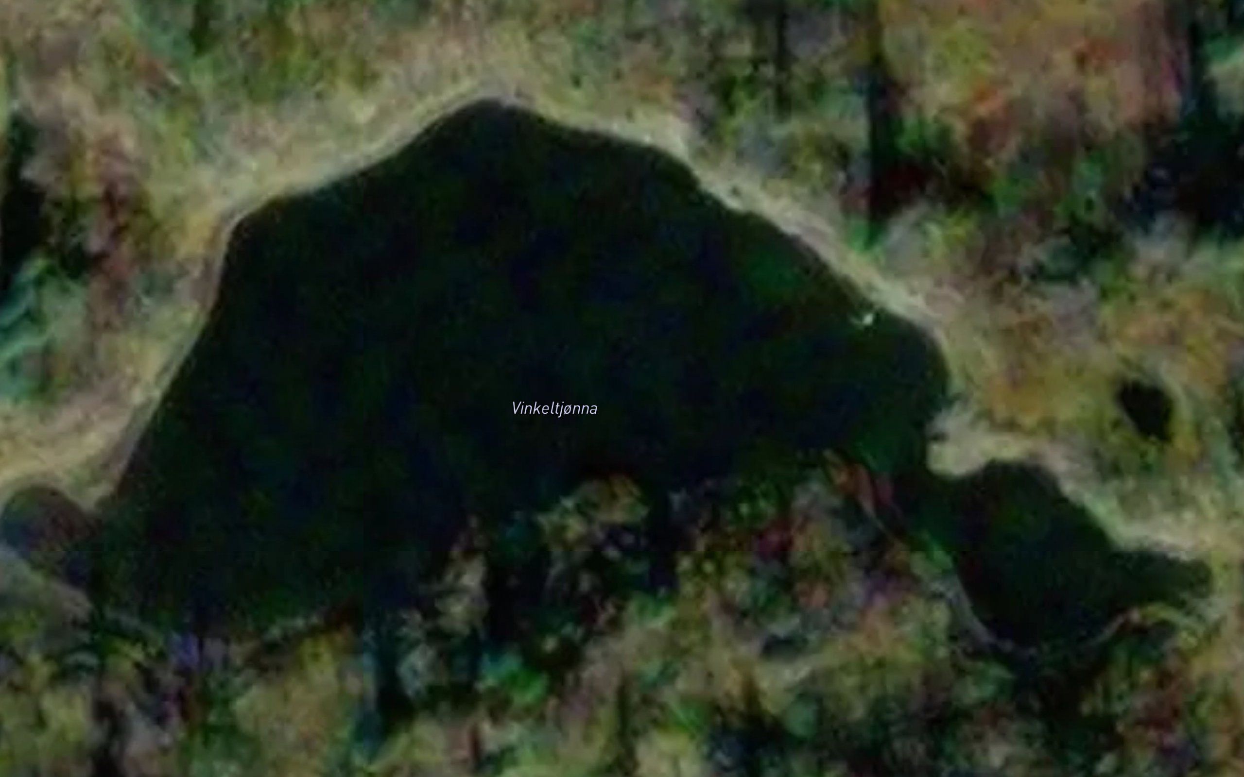 Vinkeltjonna