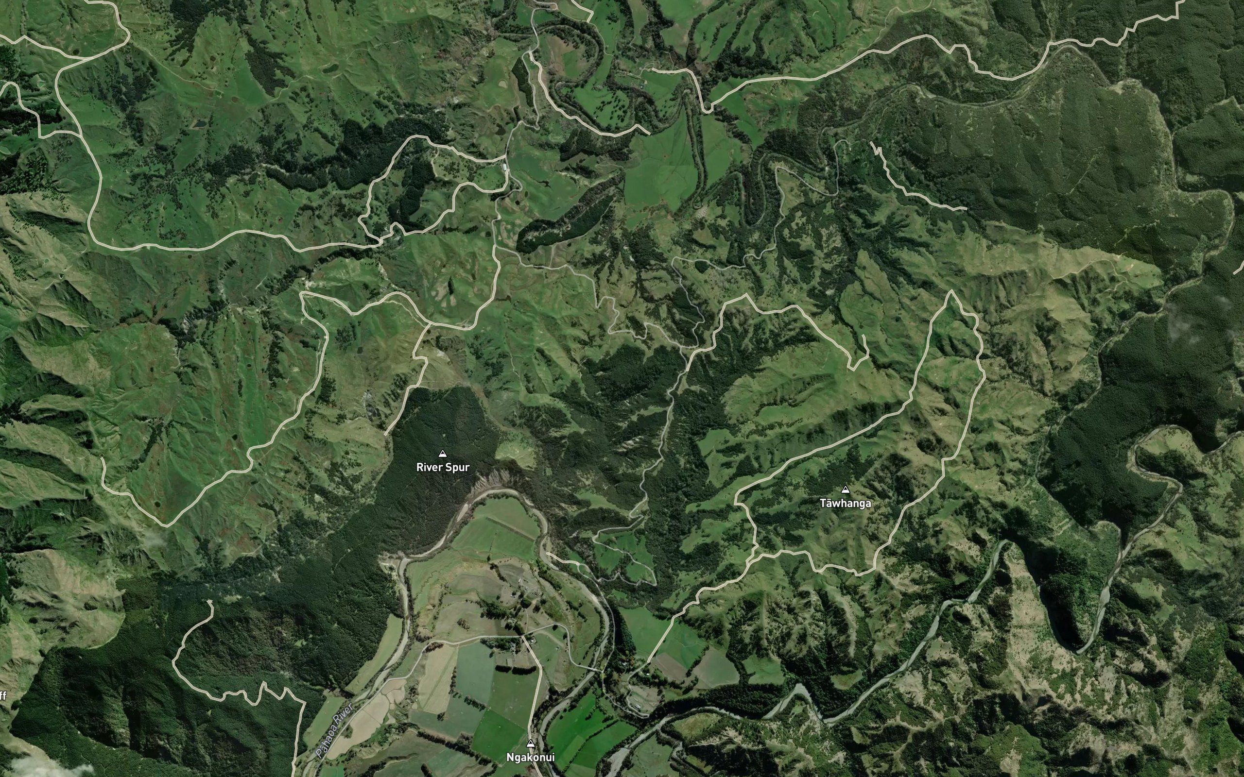Ngakonui Stream