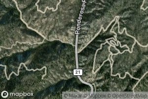China Fork