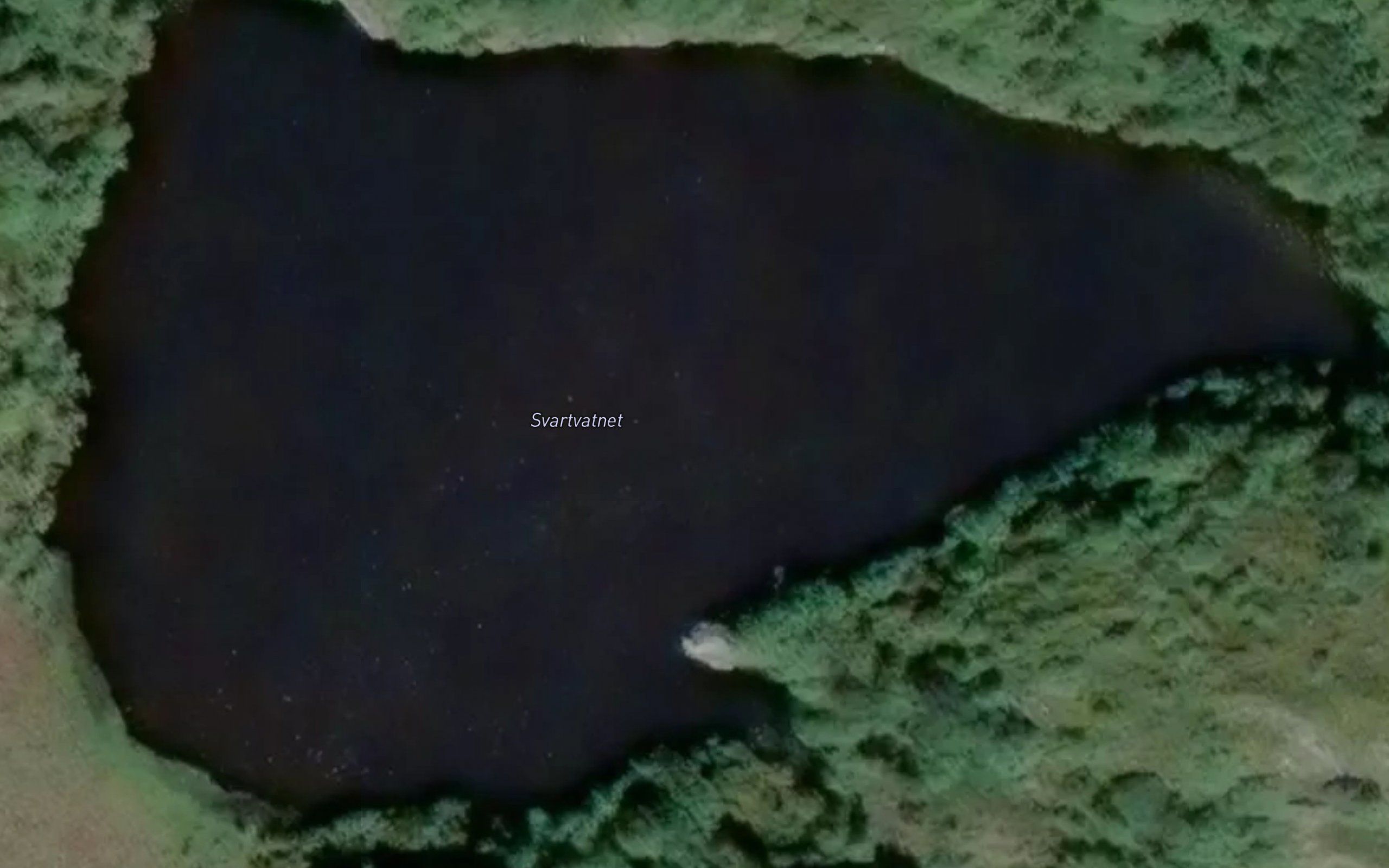 Svartvatnet