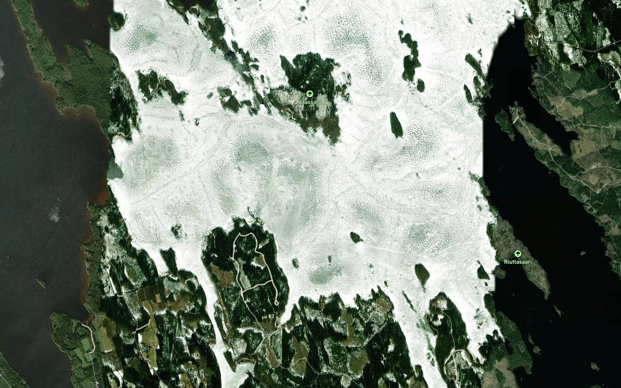 Mustikkaselka