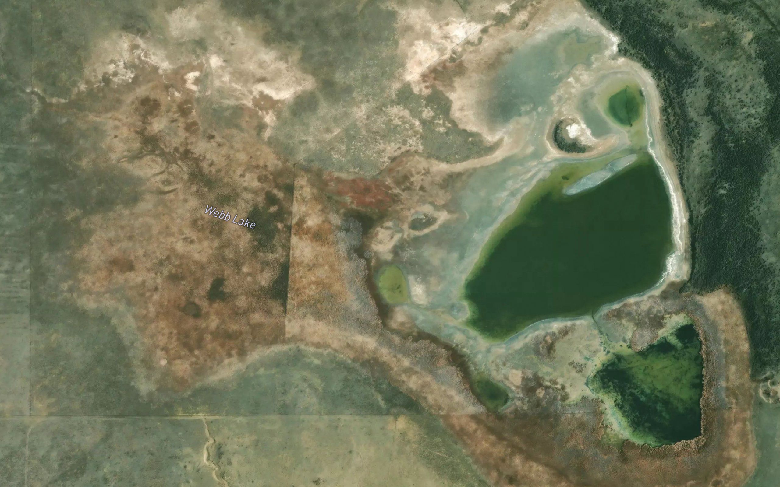 Webb Lake