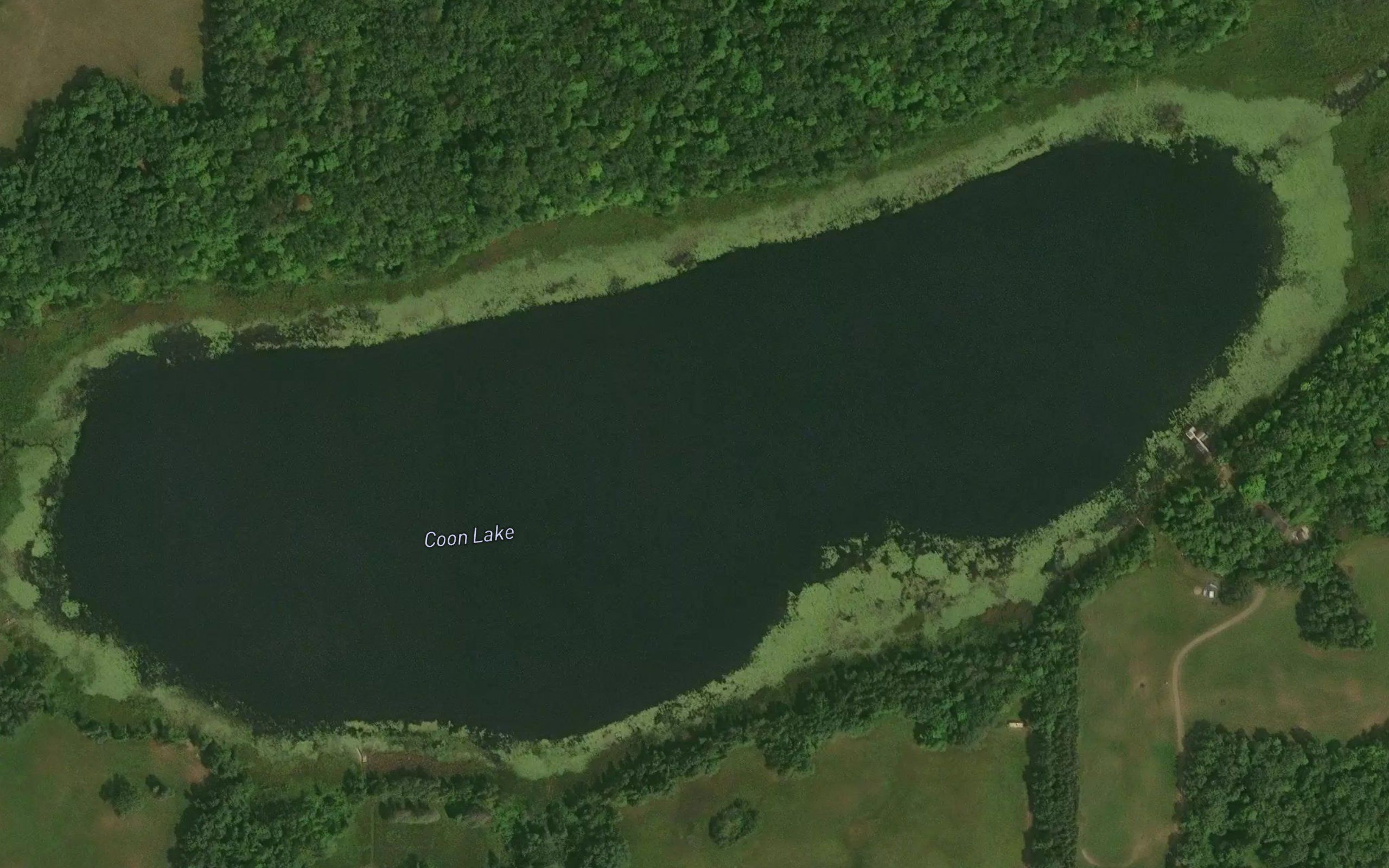 Coon Lake