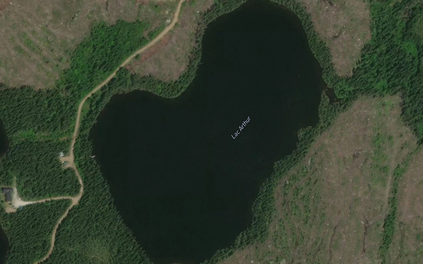 Satellite map of the Lac Arthur