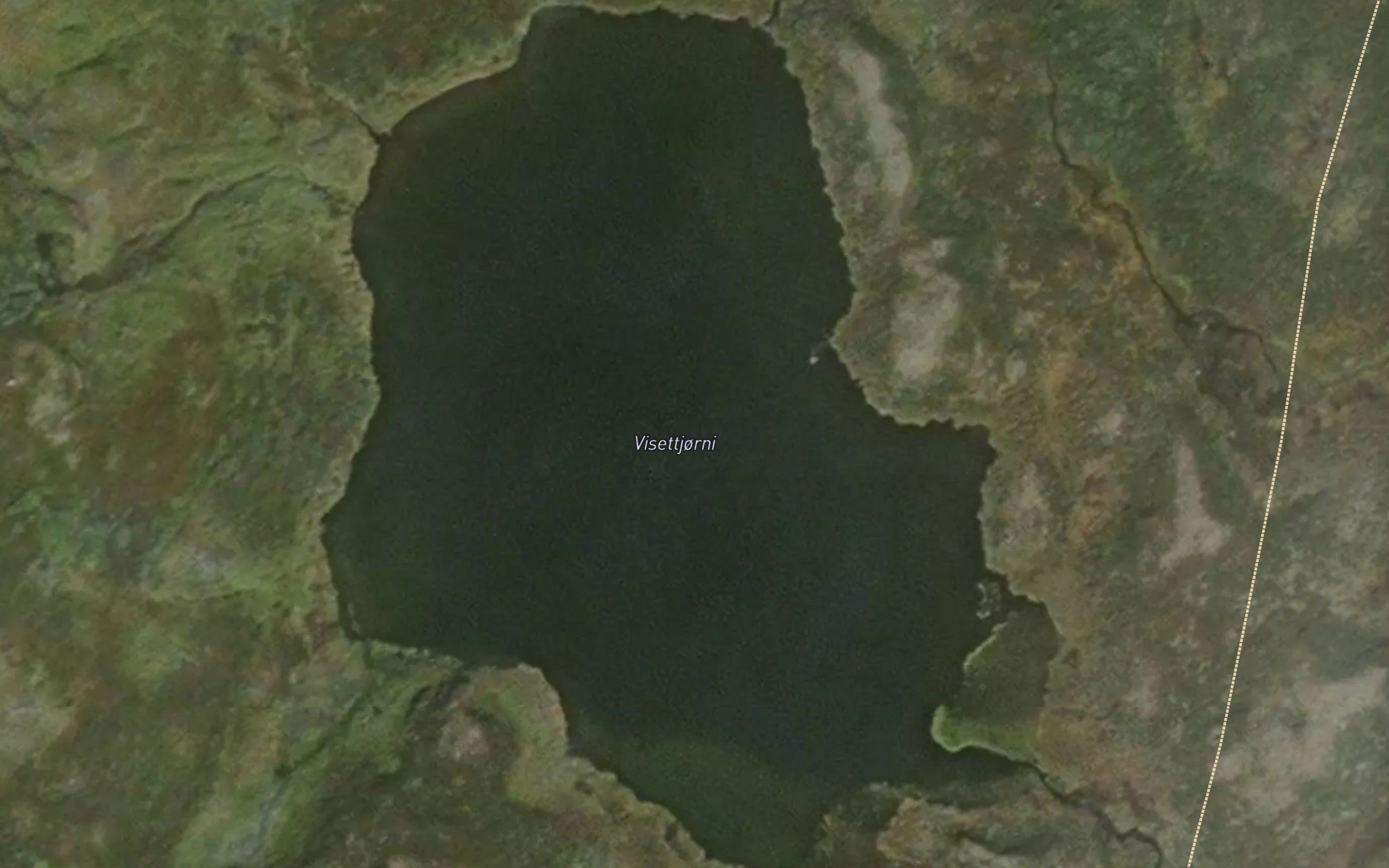 Visettjorni