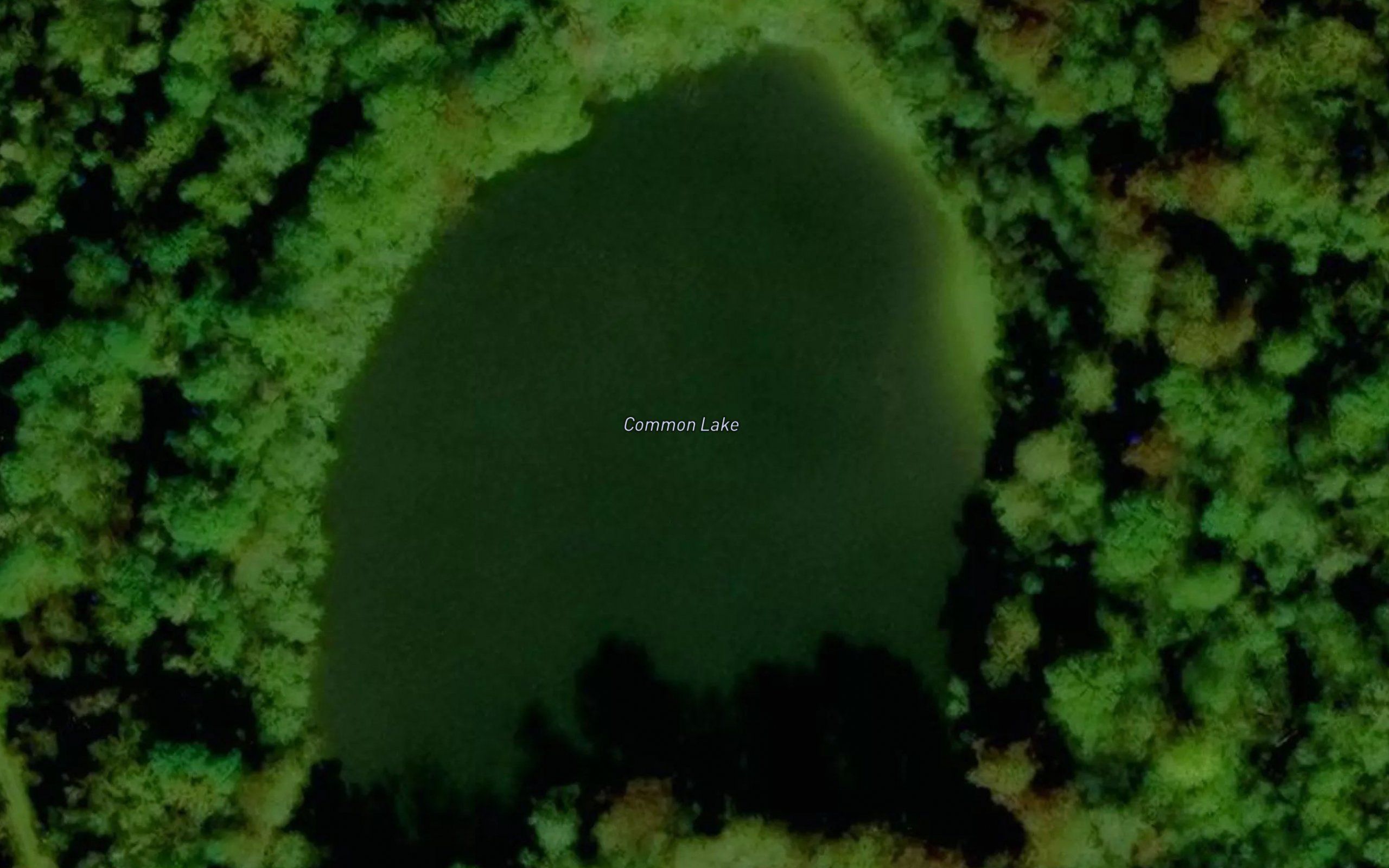 Common Lake