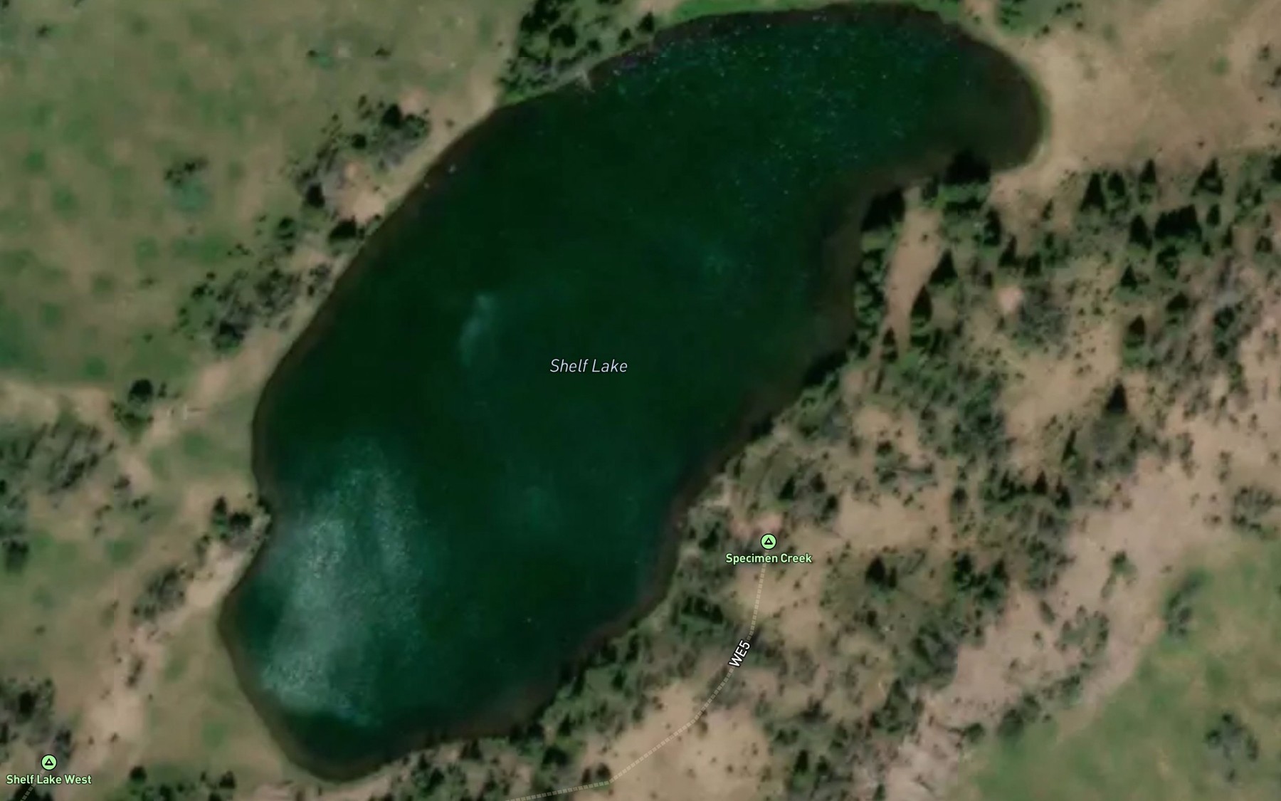 Satellite map of the Shelf Lake
