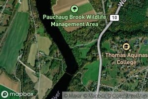 Pauchaug Brook
