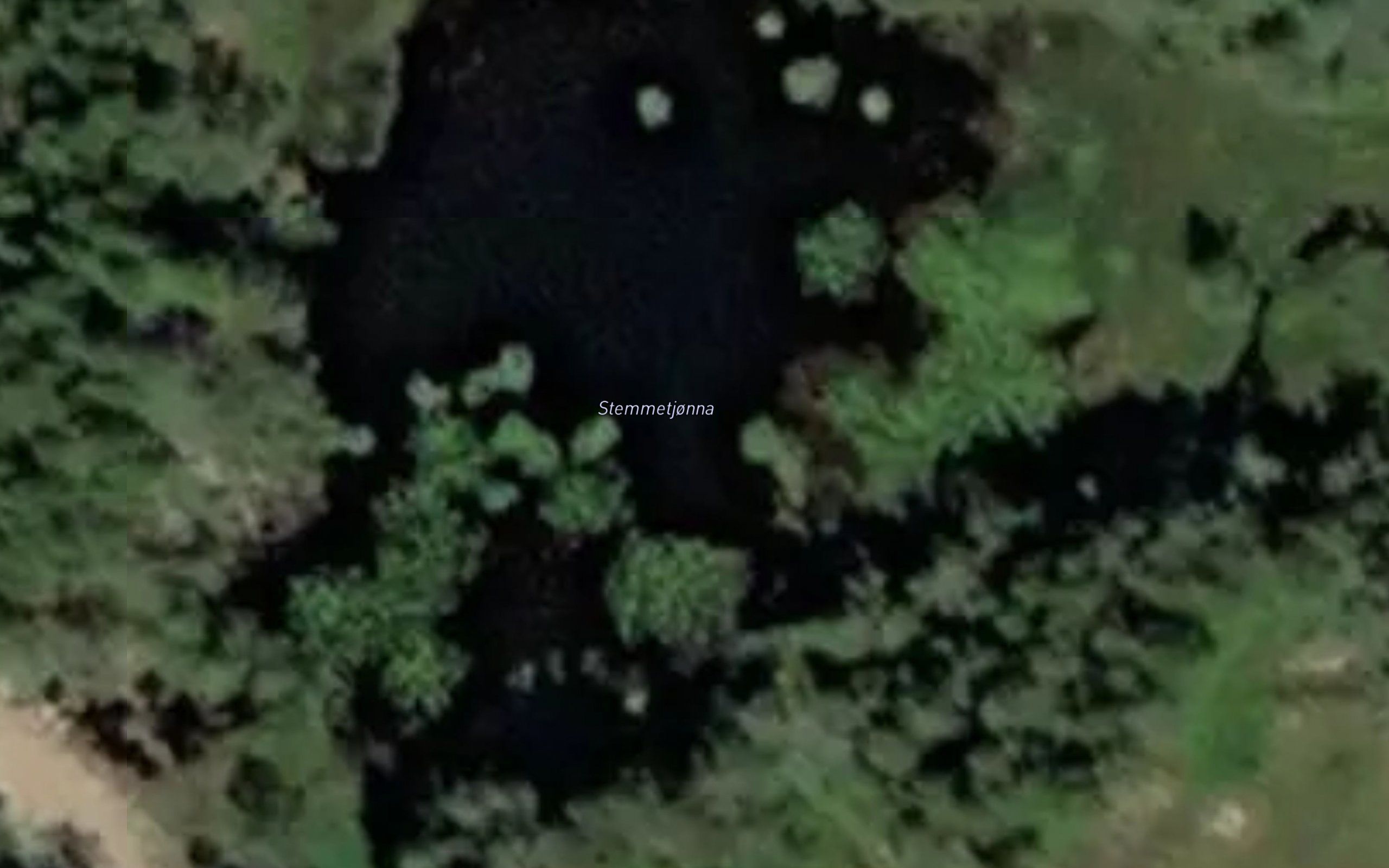 Stemmetjonna