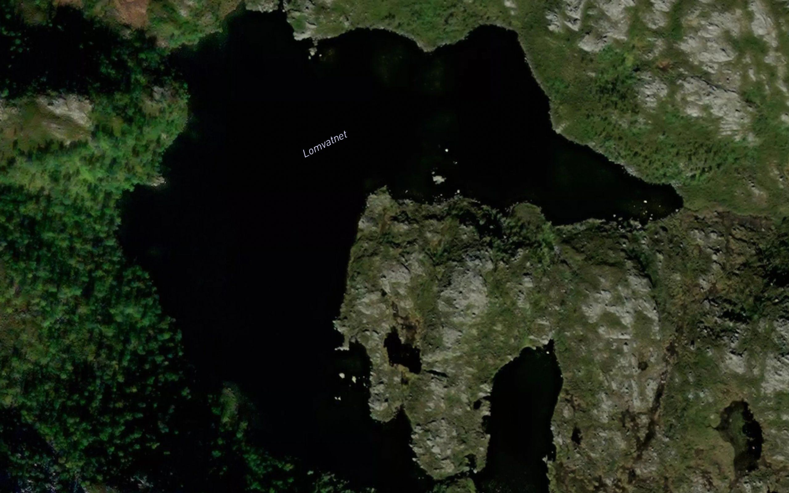 Lomtjorna