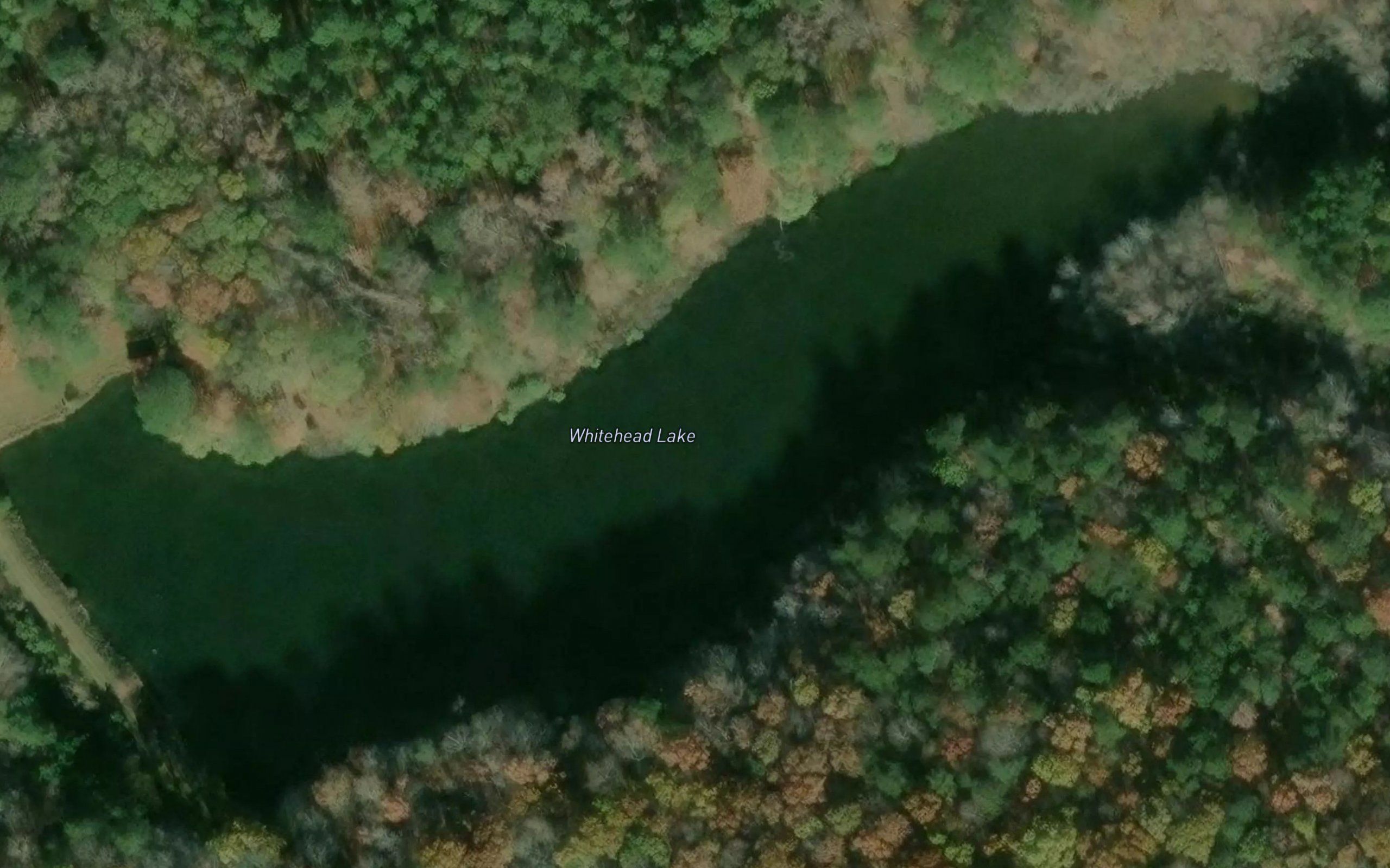 Whitehead Lake