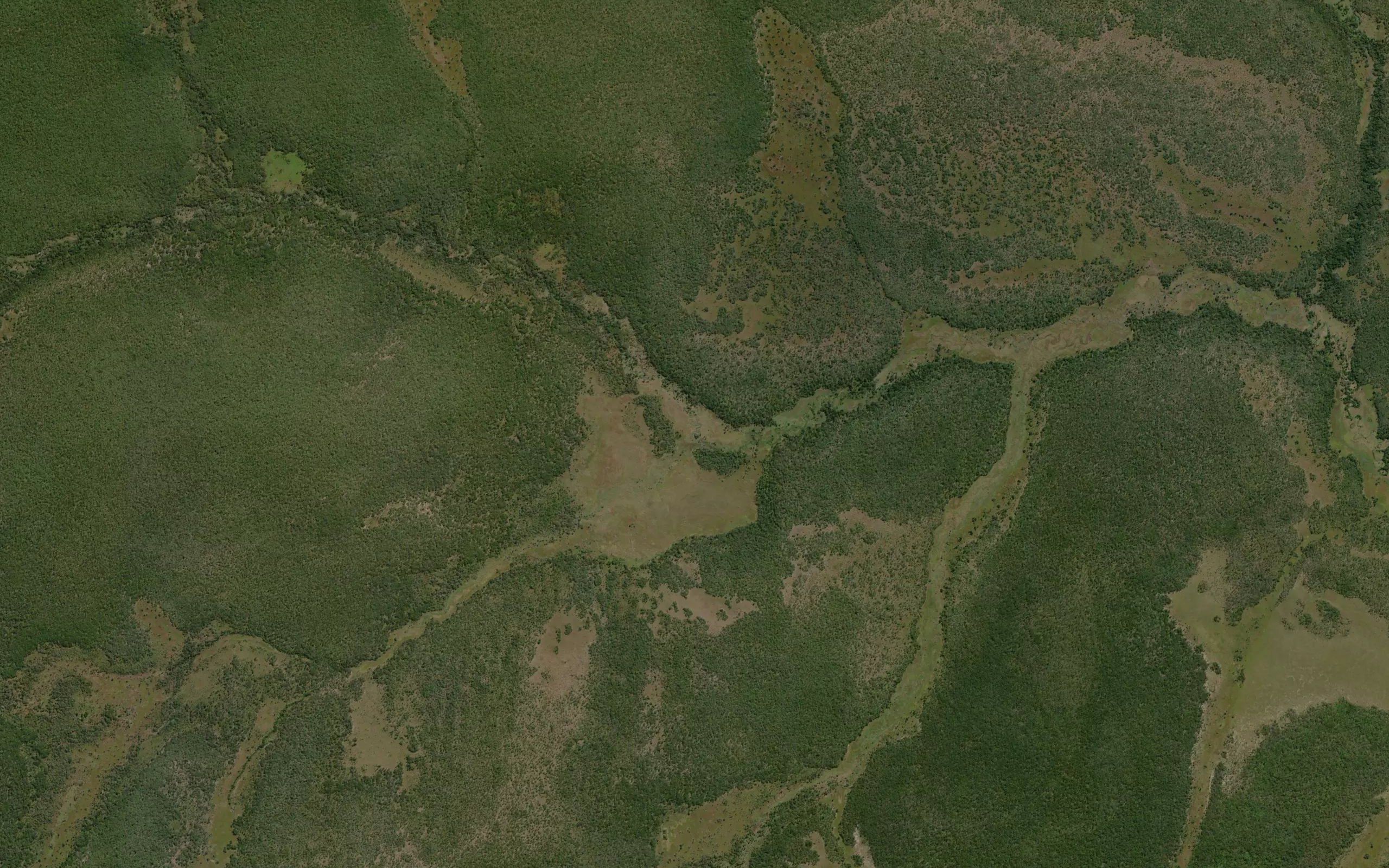 Chamakolongo