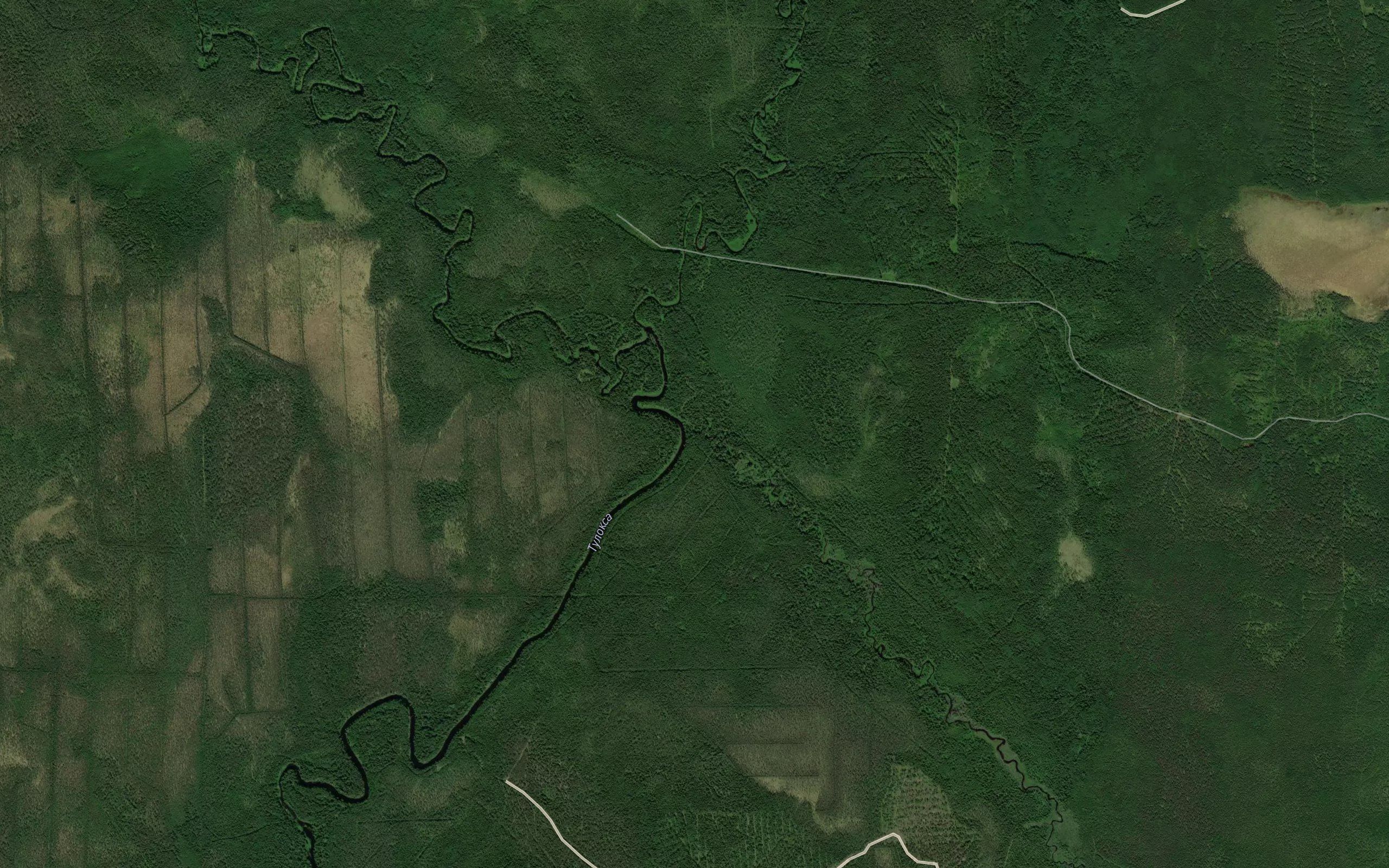 Nizoya