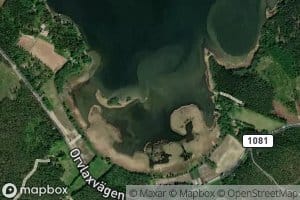 Bryggarviken