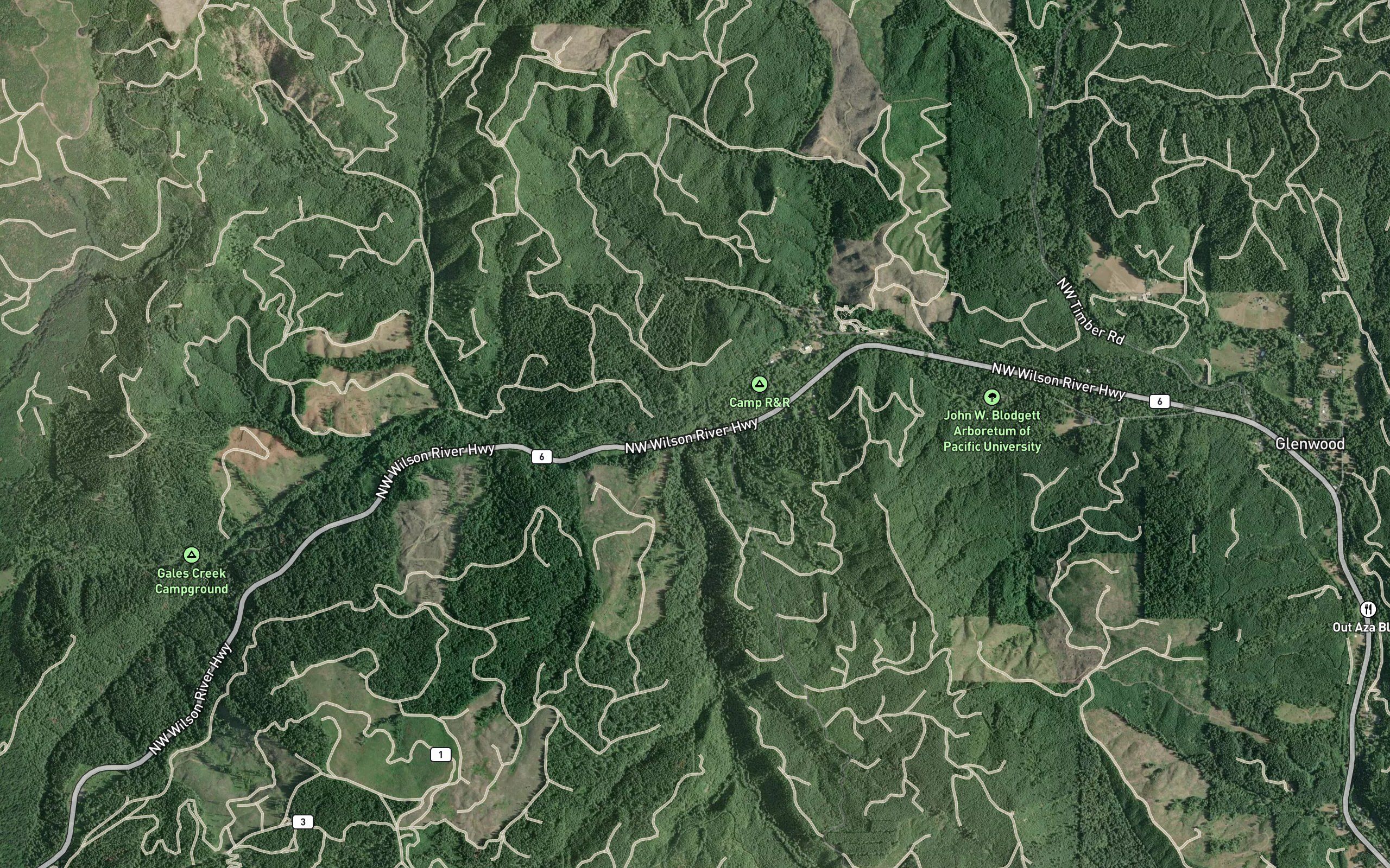 South Fork Gales Creek