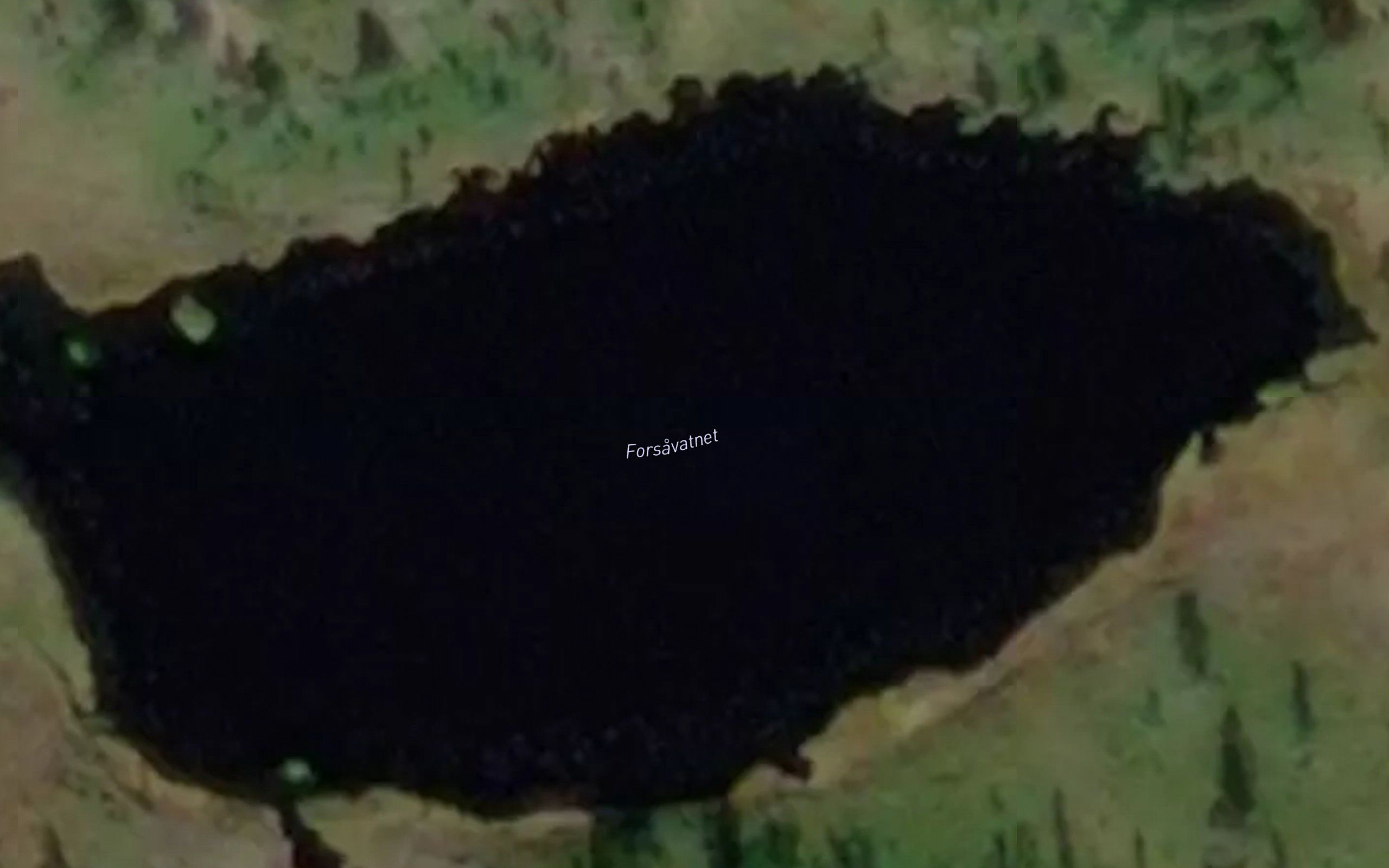 Forsavatnet