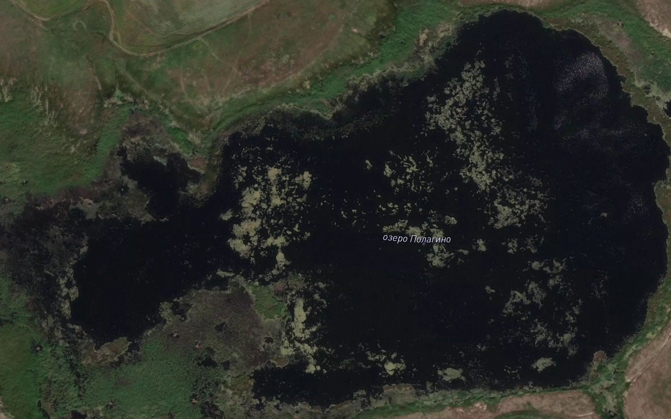 Ozero Palagino