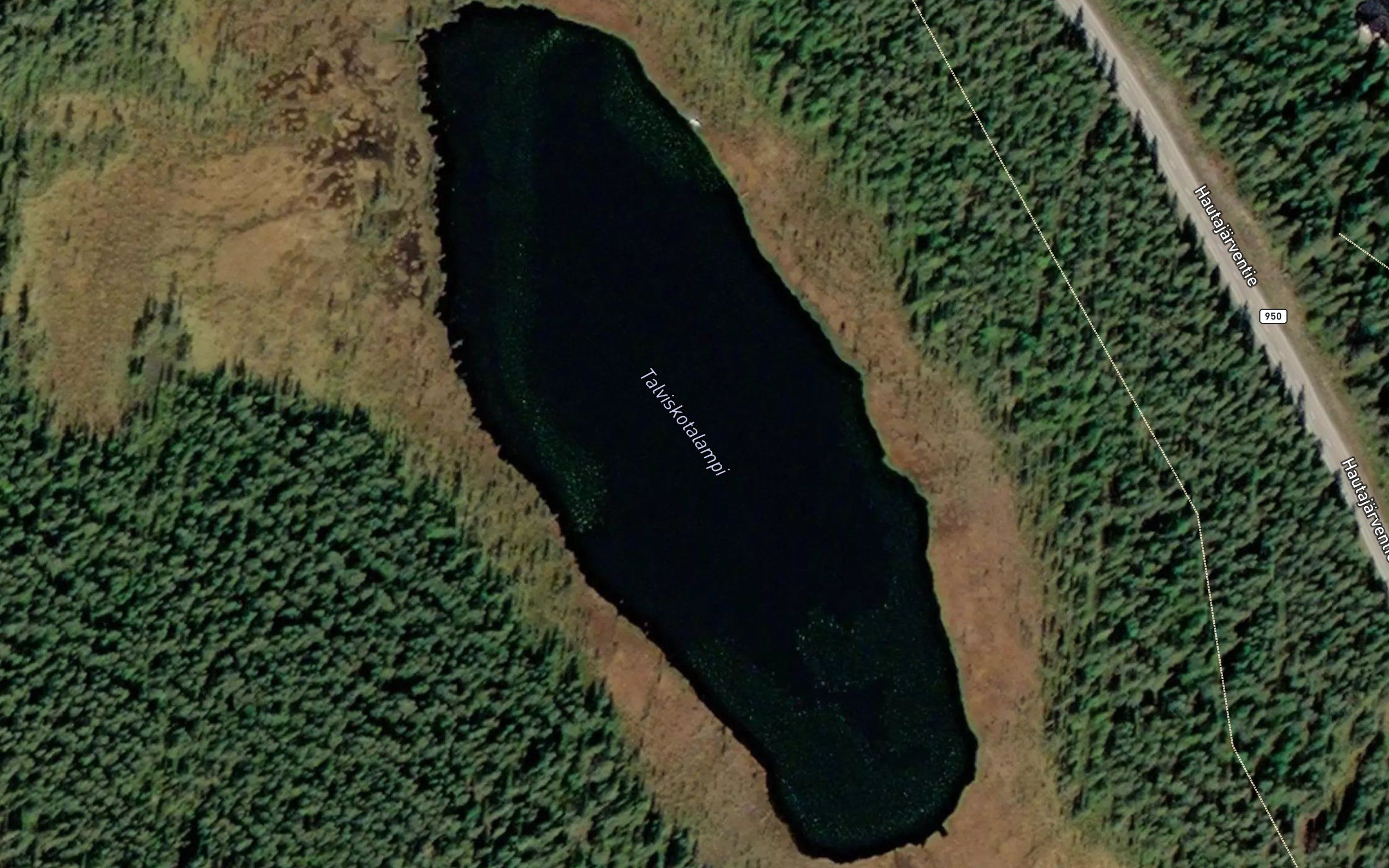 Talviskotalampi