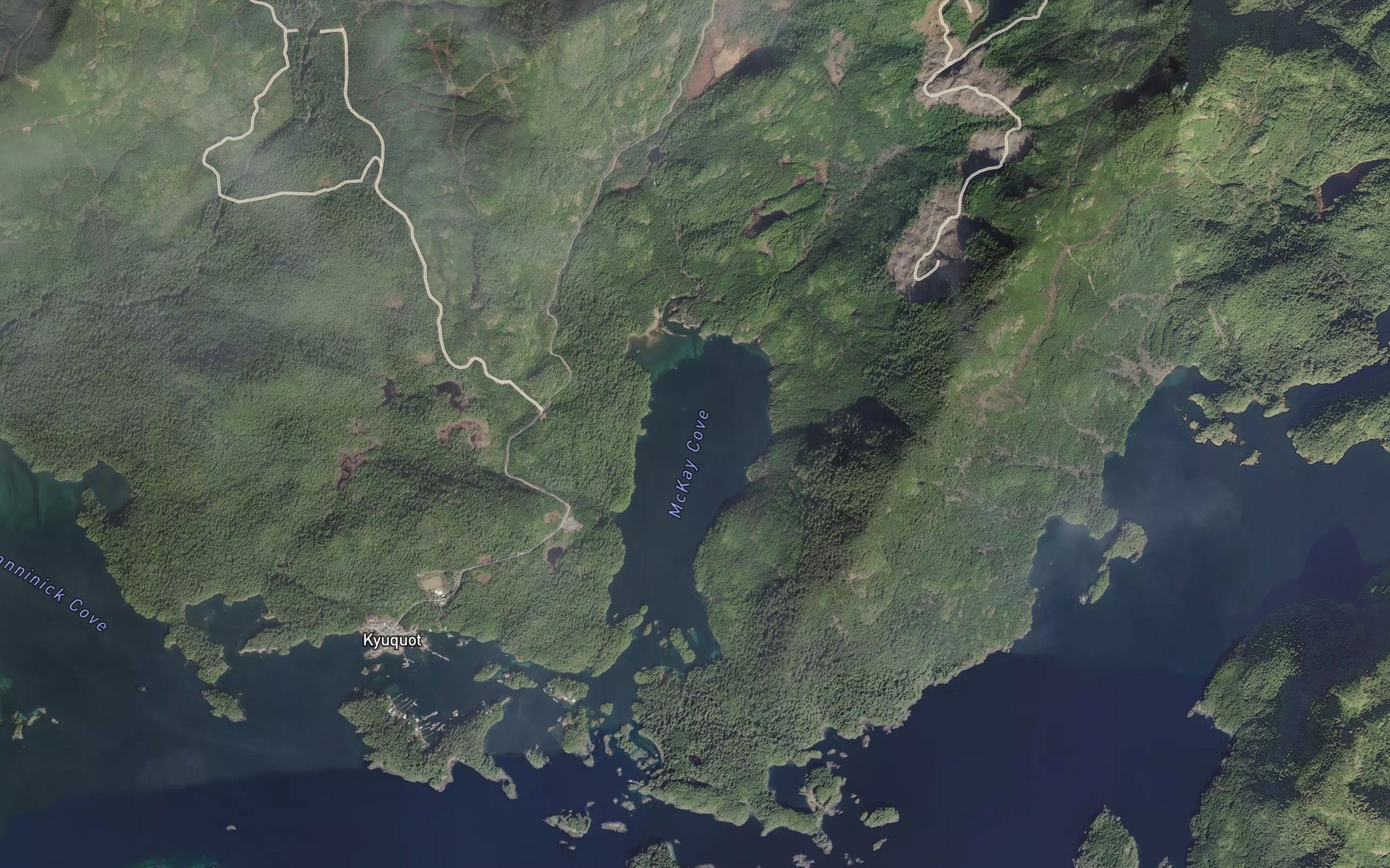 Satellite map of the McKay Cove